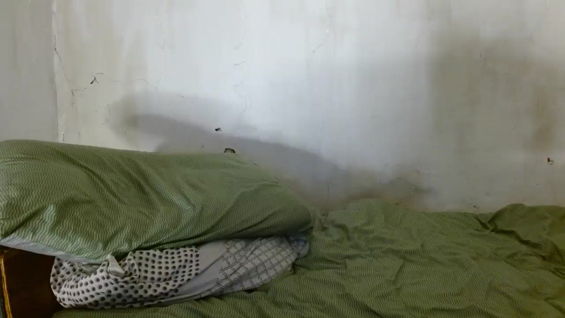 Gallery image thumbnail from Aaantonina's myfreecams stream on, 01/02/2026, 09:40 image 17 of 20