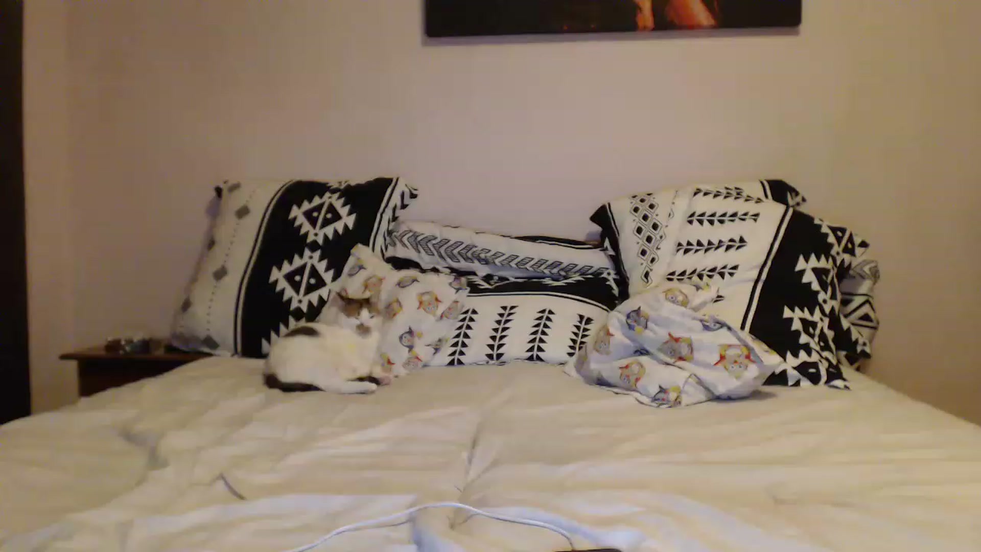Gallery image thumbnail from Aahh_Emilia's myfreecams stream on, 12/07/2022, 17:26 image 15 of 20