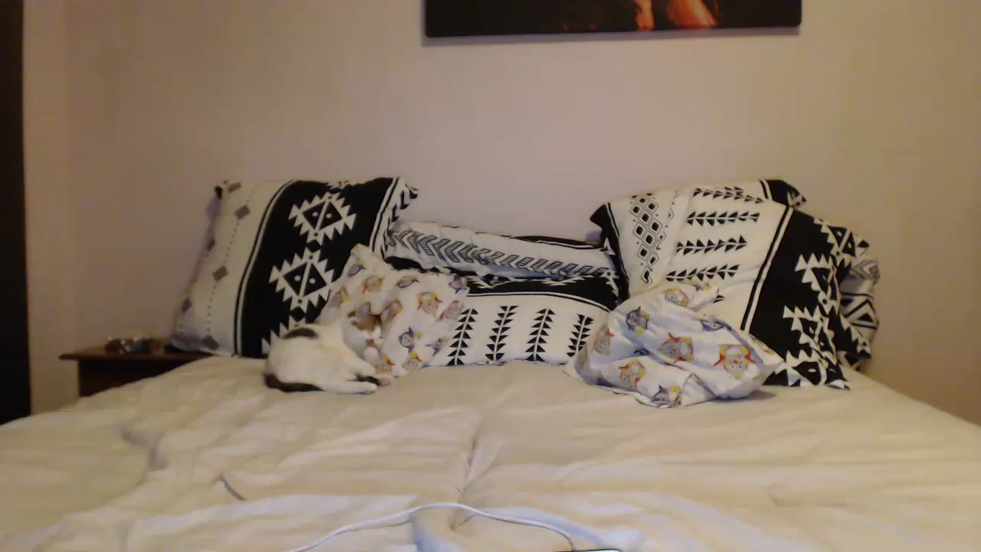 Gallery image thumbnail from Aahh_Emilia's myfreecams stream on, 12/07/2022, 17:26 image 14 of 20
