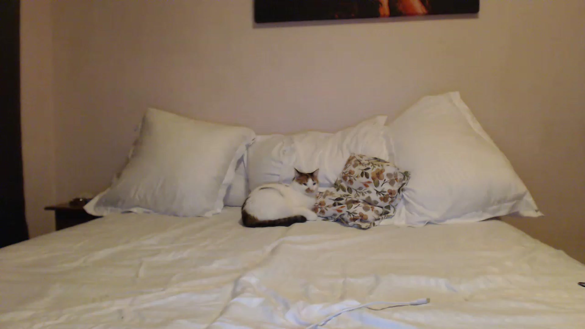 Gallery image thumbnail from Aahh_Emilia's myfreecams stream on, 12/10/2022, 17:36 image 13 of 20