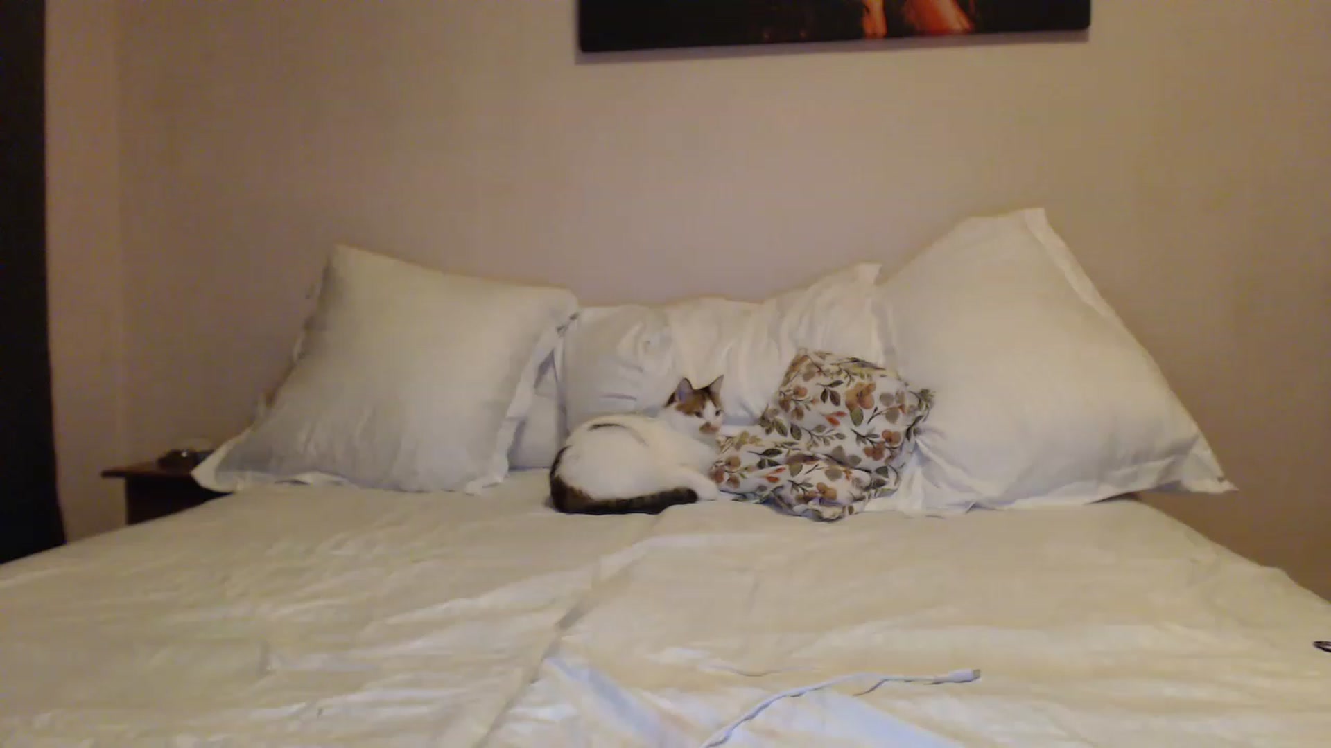 Gallery image thumbnail from Aahh_Emilia's myfreecams stream on, 12/10/2022, 17:36 image 12 of 20