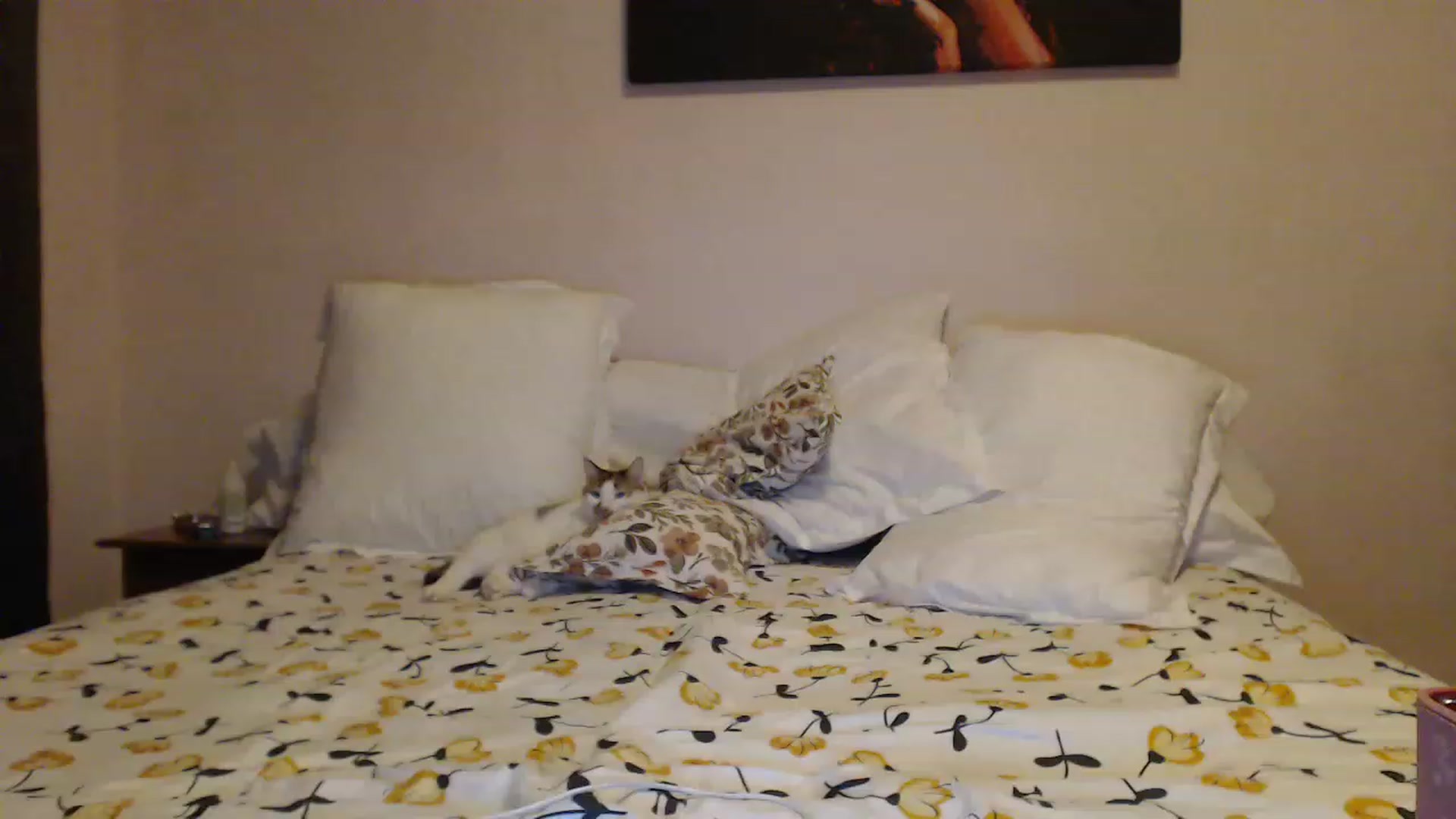 Gallery image thumbnail from Aahh_Emilia's myfreecams stream on, 12/12/2022, 17:55 image 10 of 20