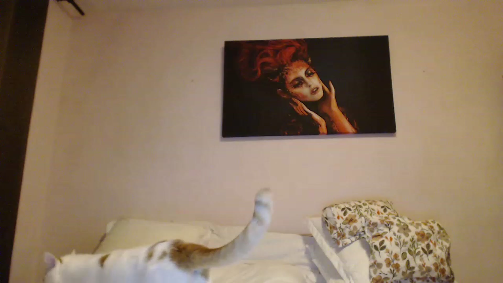 Gallery image thumbnail from Aahh_Emilia's myfreecams stream on, 12/15/2022, 17:16 image 1 of 20