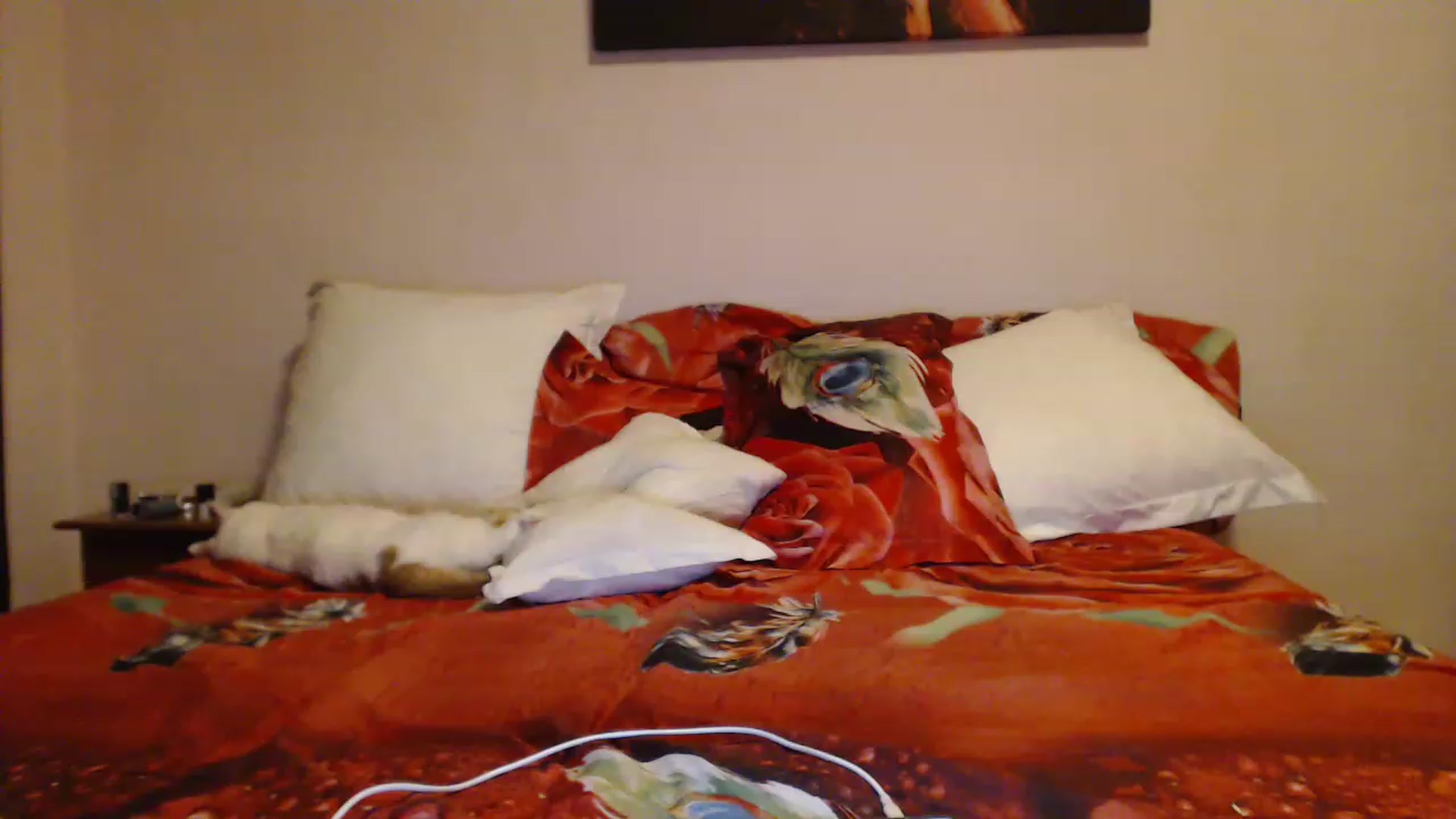 Gallery image thumbnail from Aahh_Emilia's myfreecams stream on, 12/18/2022, 18:23 image 3 of 20