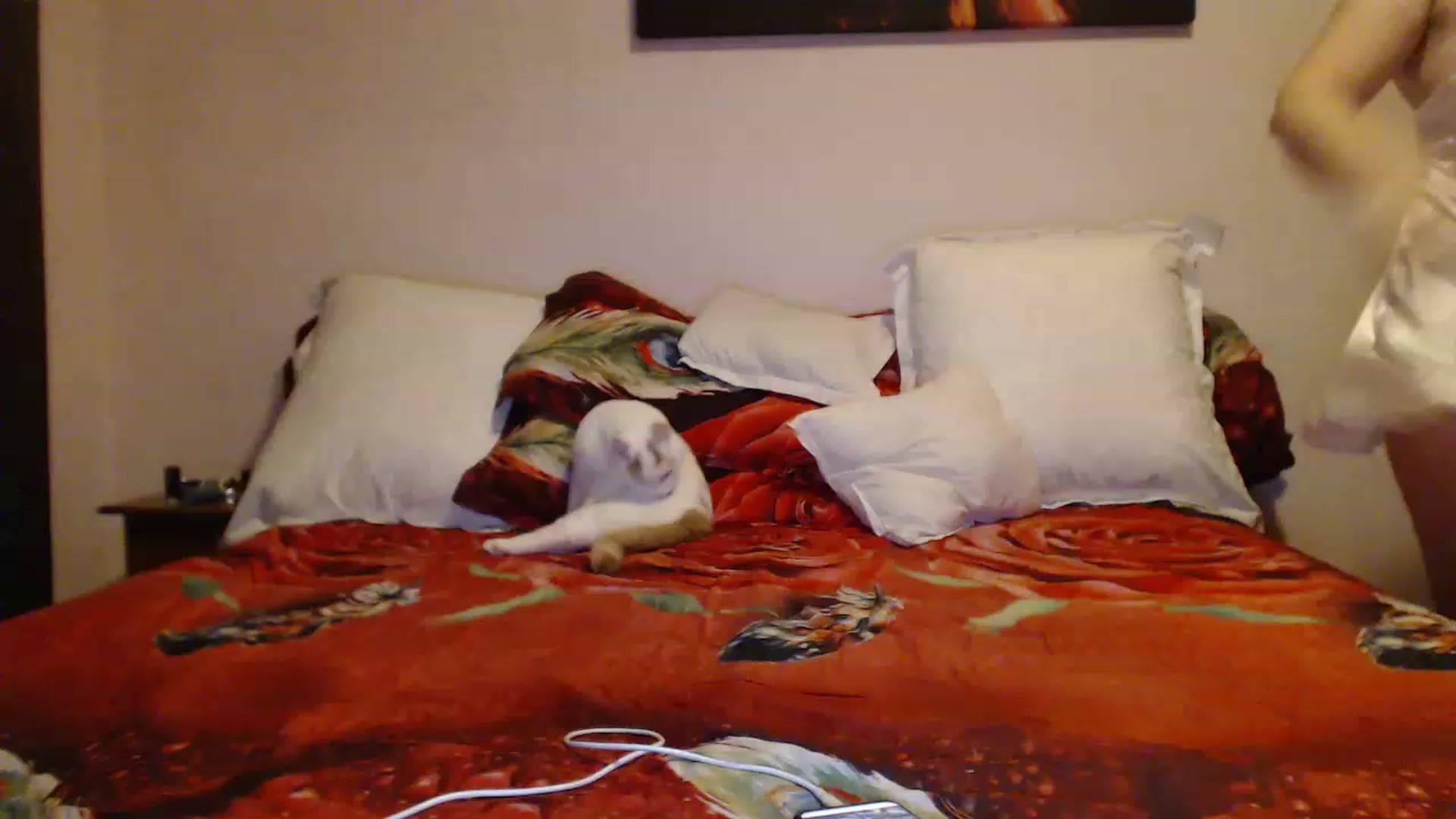 Gallery image thumbnail from Aahh_Emilia's myfreecams stream on, 12/19/2022, 15:45 image 20 of 20