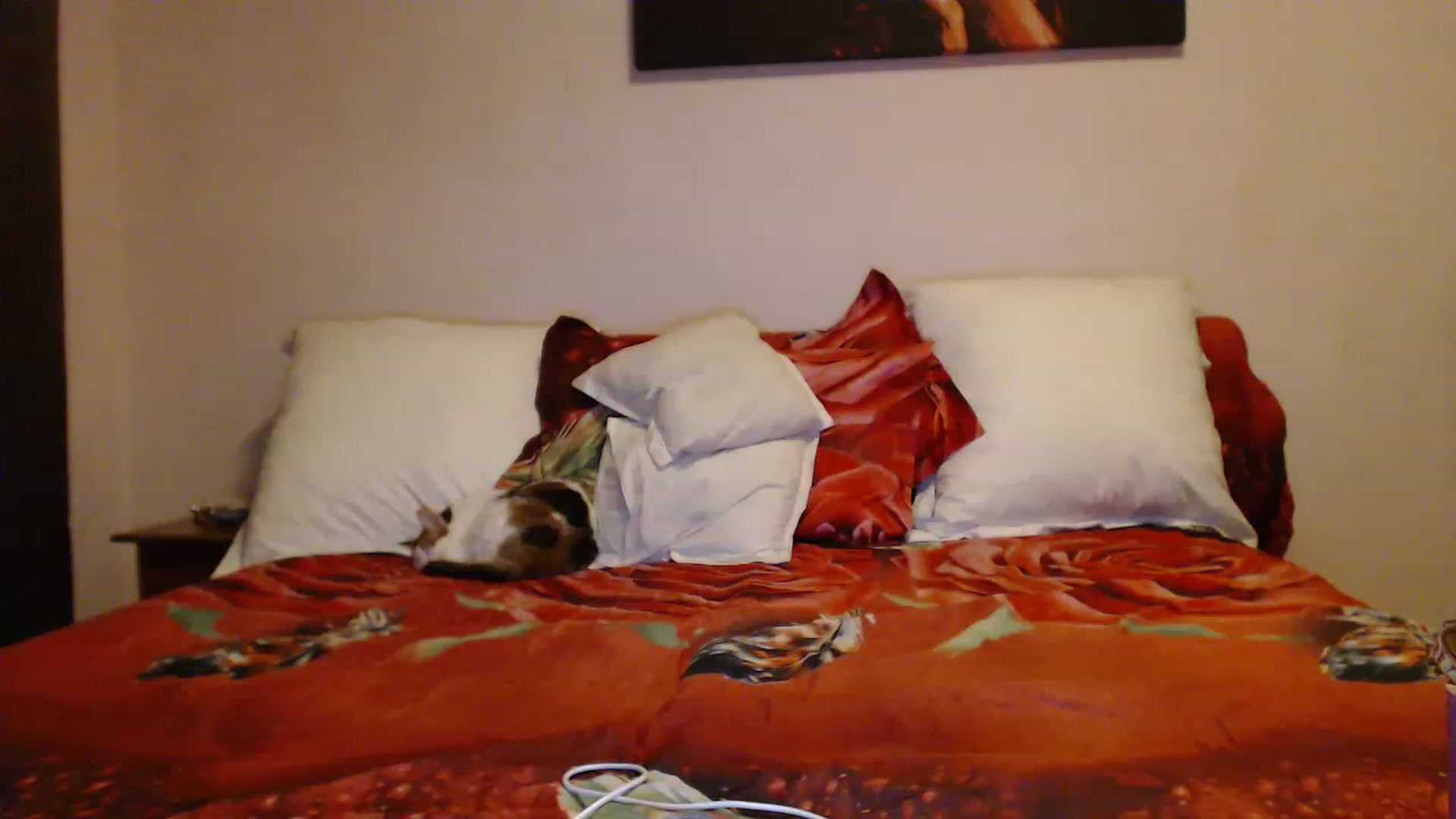 Gallery image thumbnail from Aahh_Emilia's myfreecams stream on, 12/22/2022, 16:14 image 19 of 20