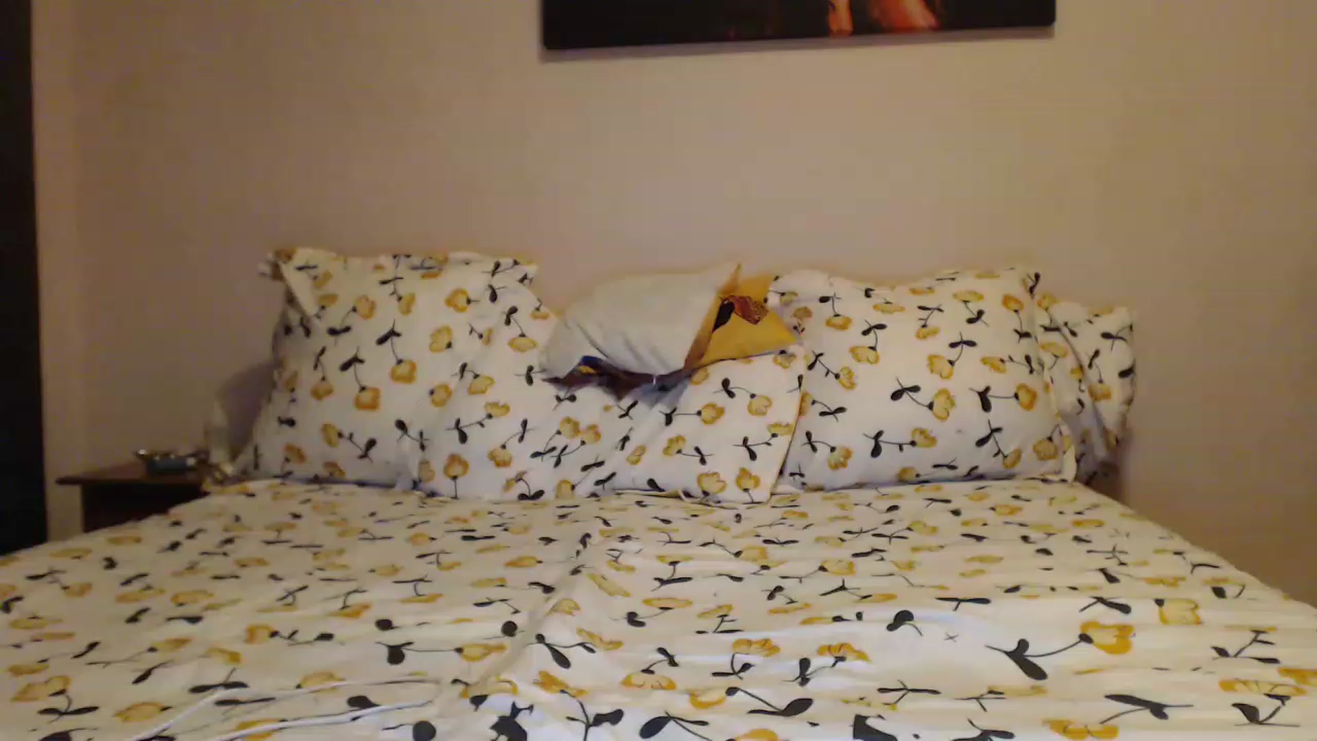 Gallery image thumbnail from Aahh_Emilia's myfreecams stream on, 12/29/2022, 15:09 image 11 of 20
