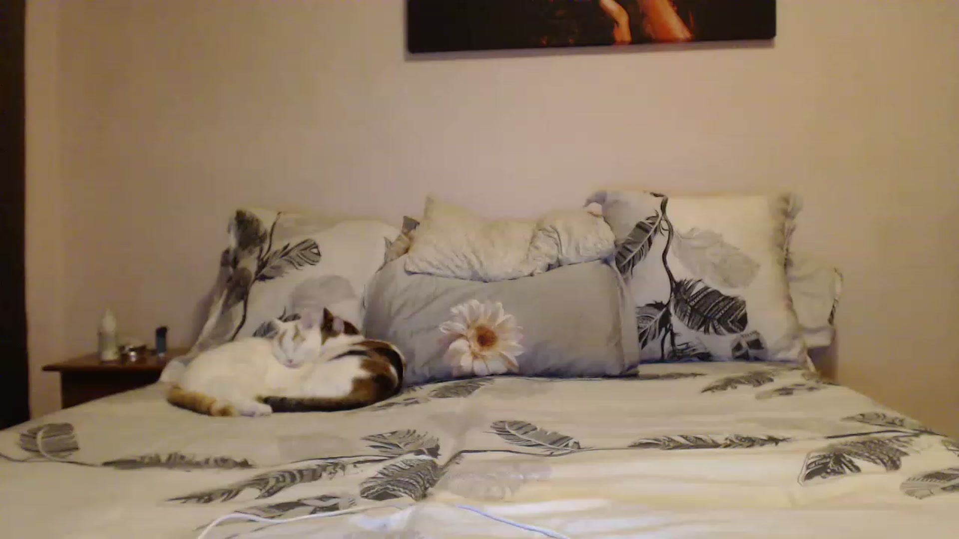 Gallery image thumbnail from Aahh_Emilia's myfreecams stream on, 12/30/2022, 15:29 image 13 of 20