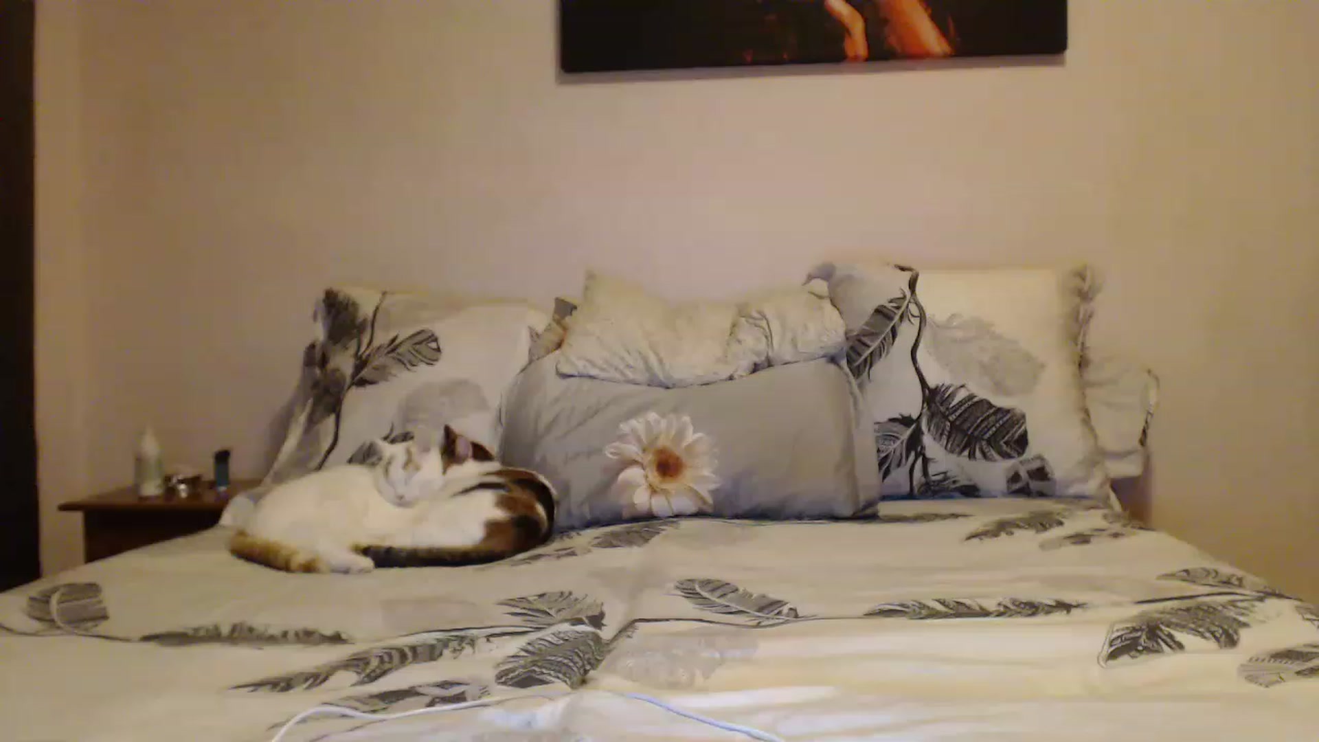 Gallery image thumbnail from Aahh_Emilia's myfreecams stream on, 12/30/2022, 15:29 image 14 of 20