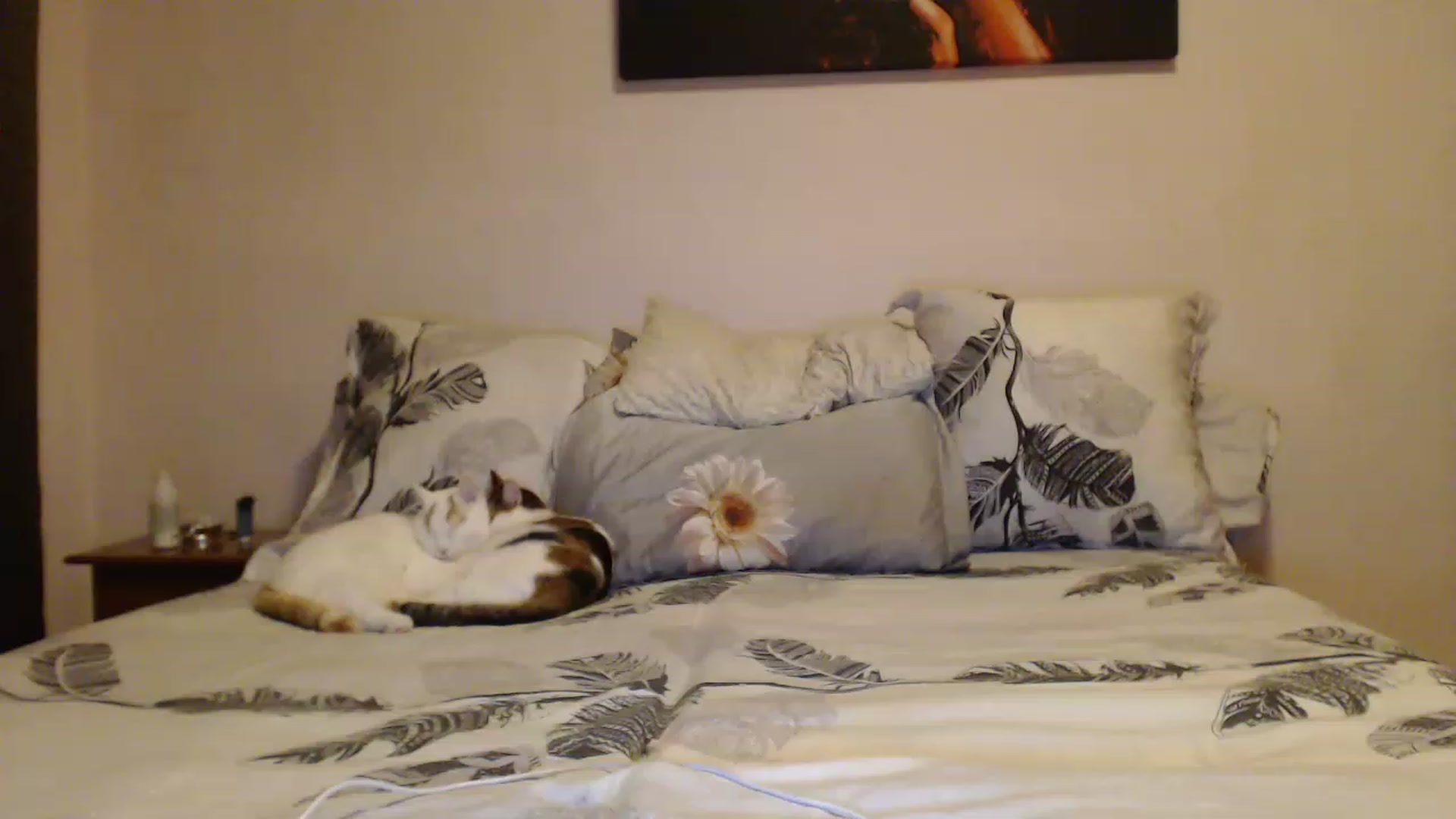 Gallery image thumbnail from Aahh_Emilia's myfreecams stream on, 12/30/2022, 15:29 image 15 of 20