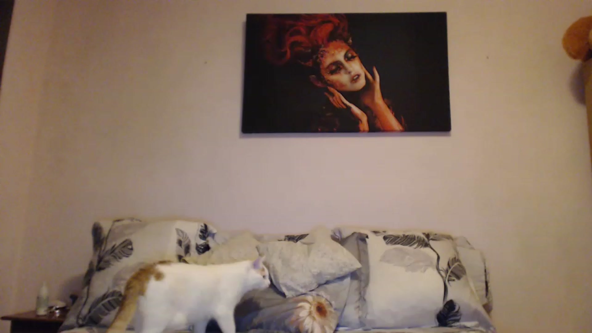 Gallery image thumbnail from Aahh_Emilia's myfreecams stream on, 12/31/2022, 15:11 image 13 of 20