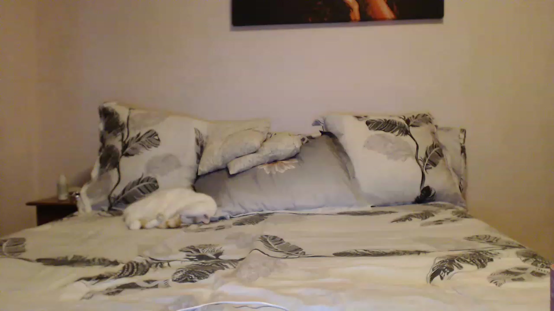 Gallery image thumbnail from Aahh_Emilia's myfreecams stream on, 01/01/2023, 15:06 image 12 of 20