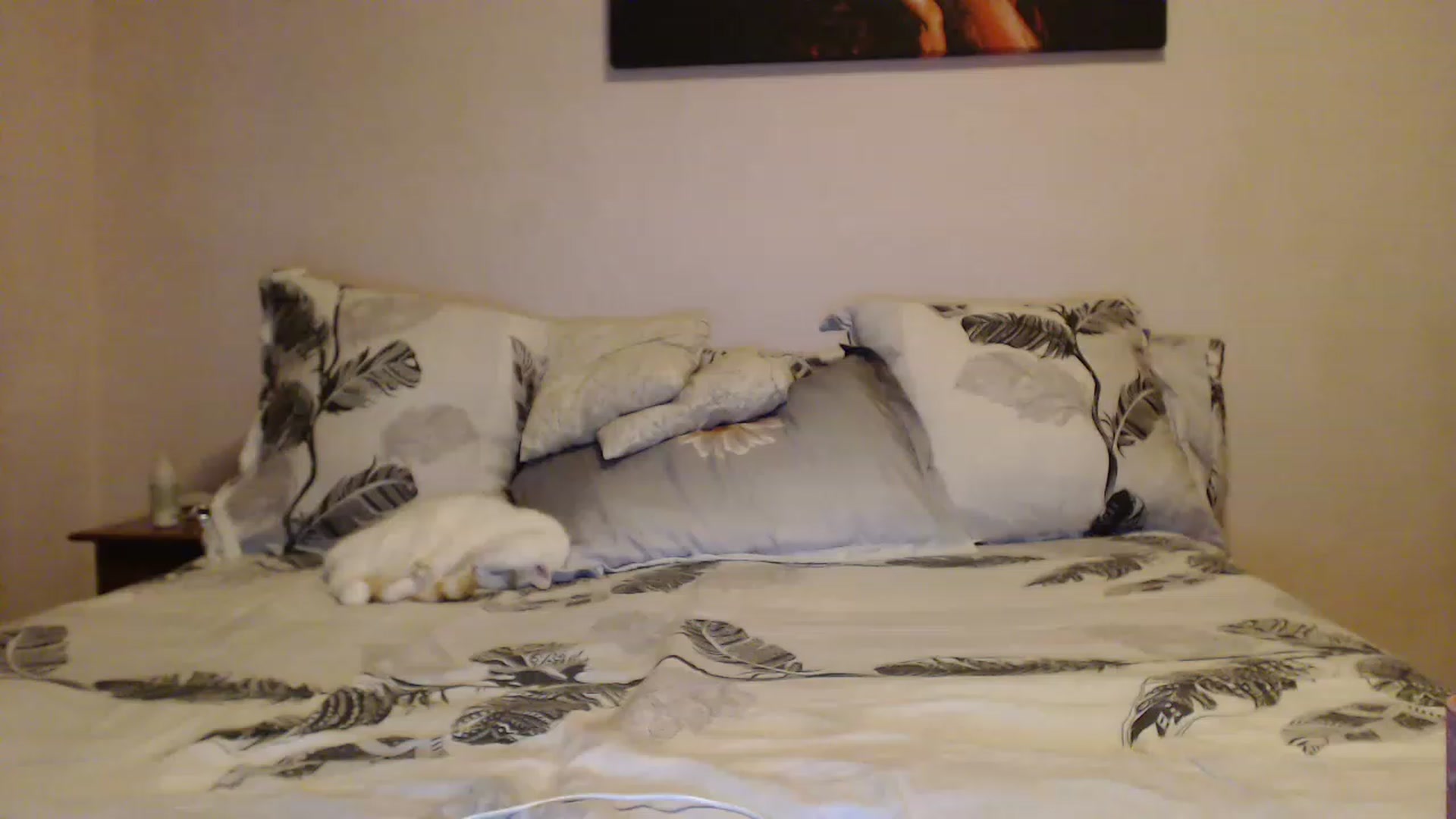 Gallery image thumbnail from Aahh_Emilia's myfreecams stream on, 01/01/2023, 15:06 image 13 of 20