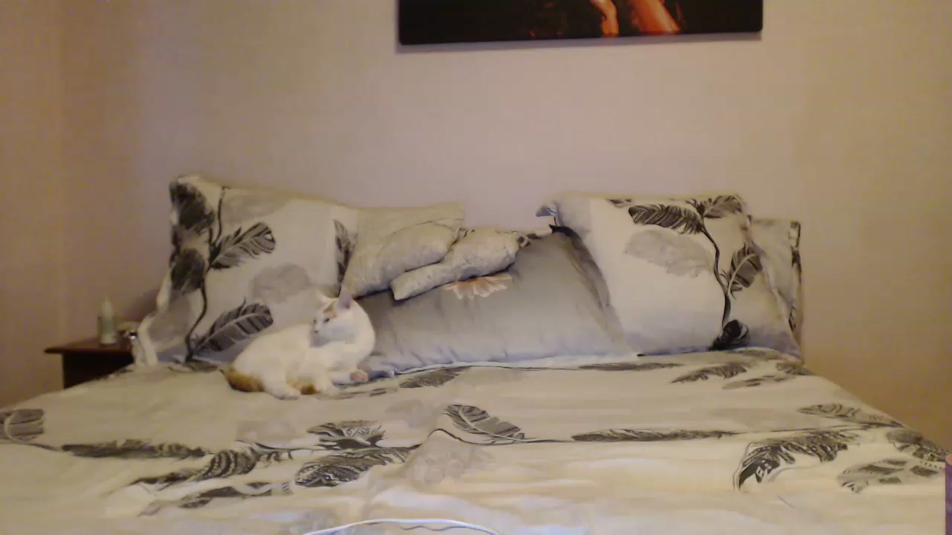 Gallery image thumbnail from Aahh_Emilia's myfreecams stream on, 01/01/2023, 15:06 image 10 of 20