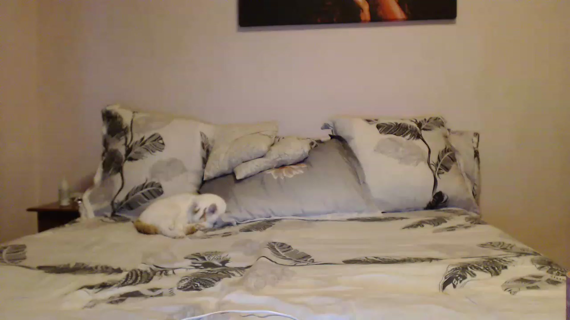 Gallery image thumbnail from Aahh_Emilia's myfreecams stream on, 01/01/2023, 15:06 image 11 of 20