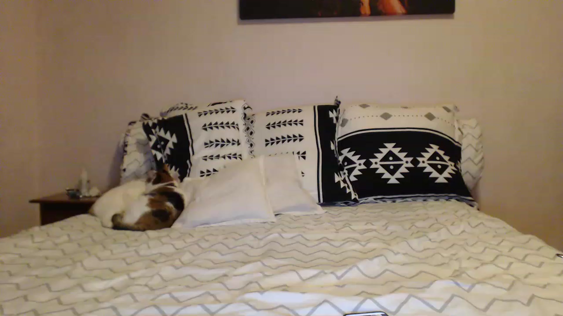 Gallery image thumbnail from Aahh_Emilia's myfreecams stream on, 01/08/2023, 15:32 image 13 of 20