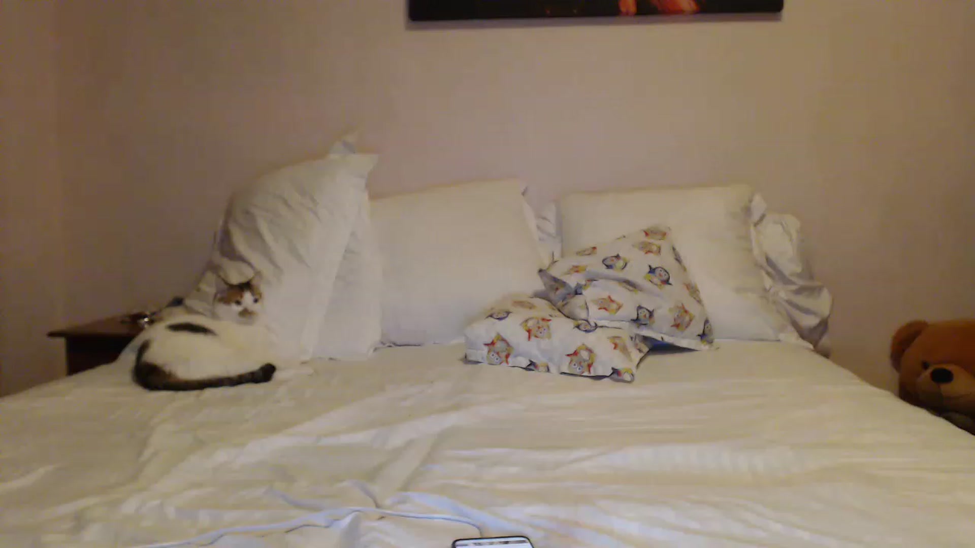 Gallery image thumbnail from Aahh_Emilia's myfreecams stream on, 01/15/2023, 15:35 image 11 of 20