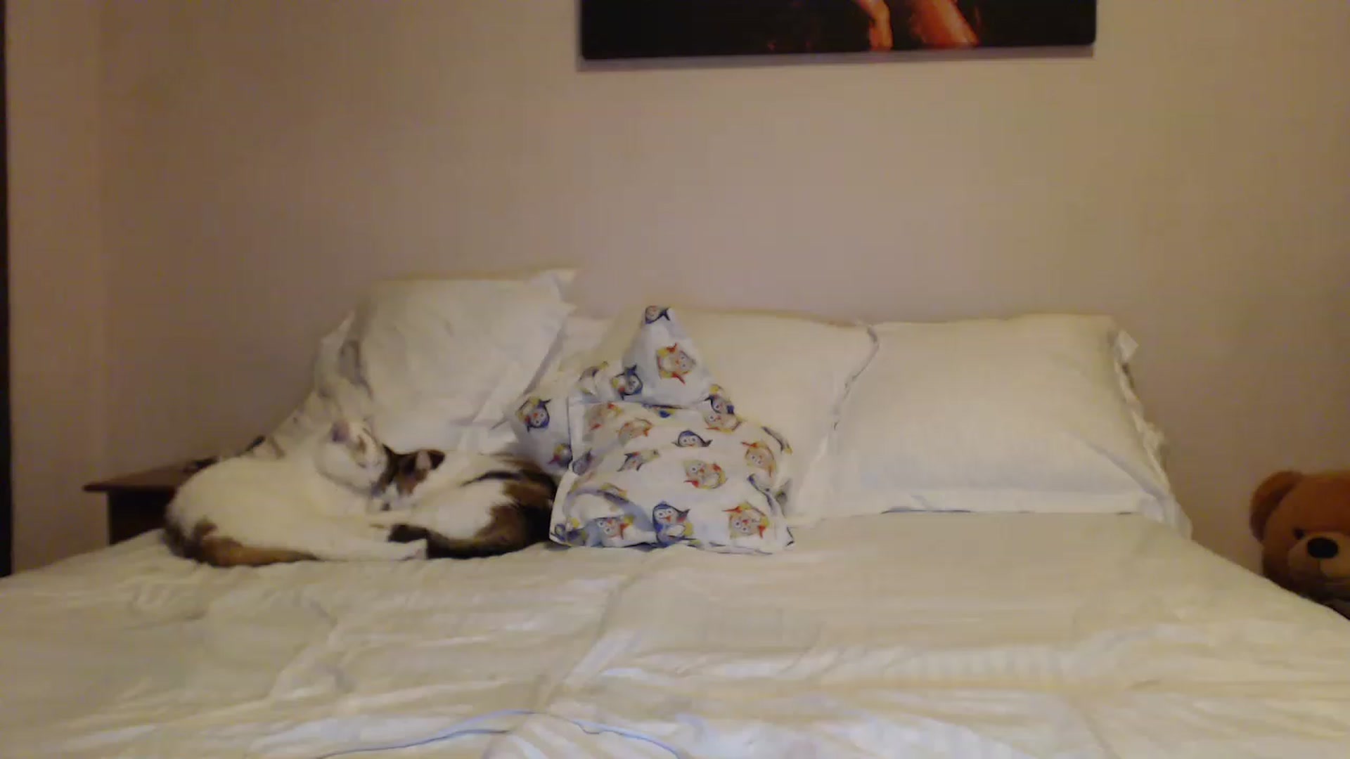 Gallery image thumbnail from Aahh_Emilia's myfreecams stream on, 01/15/2023, 17:54 image 10 of 20