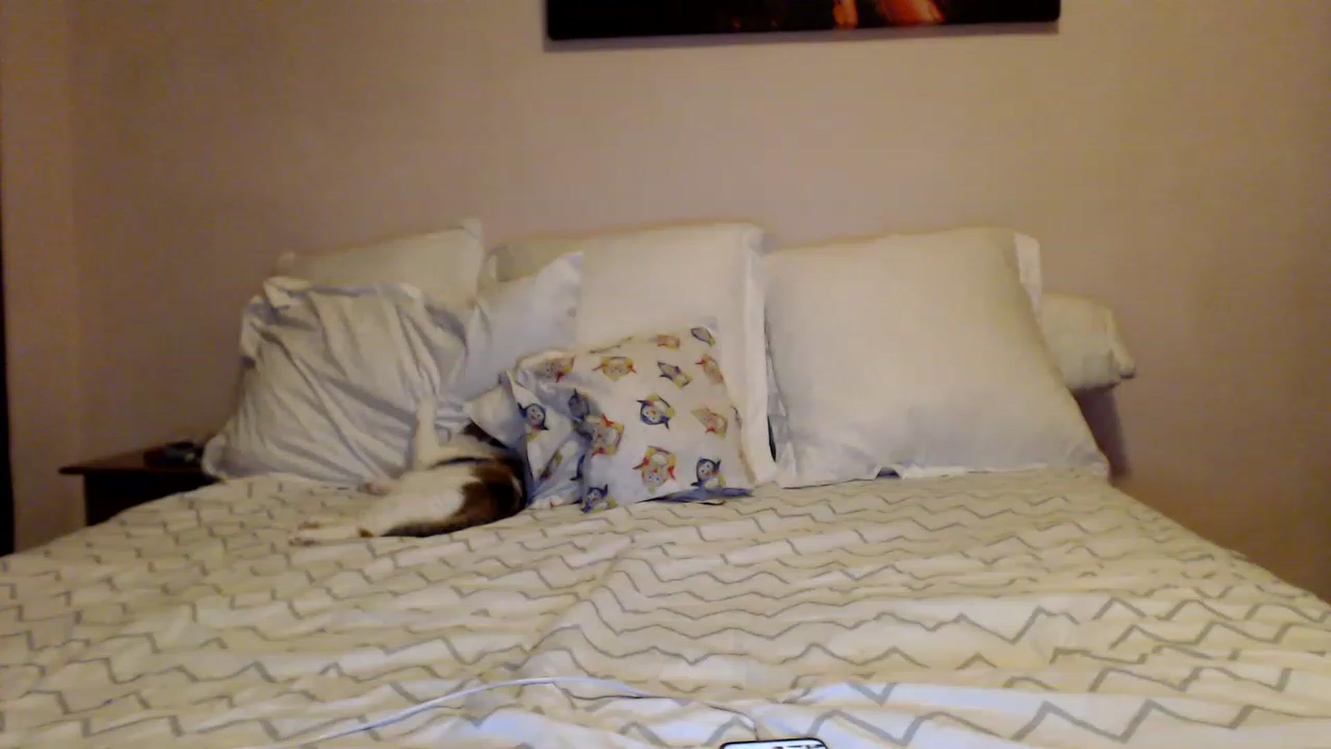 Gallery image thumbnail from Aahh_Emilia's myfreecams stream on, 01/21/2023, 15:33 image 15 of 20