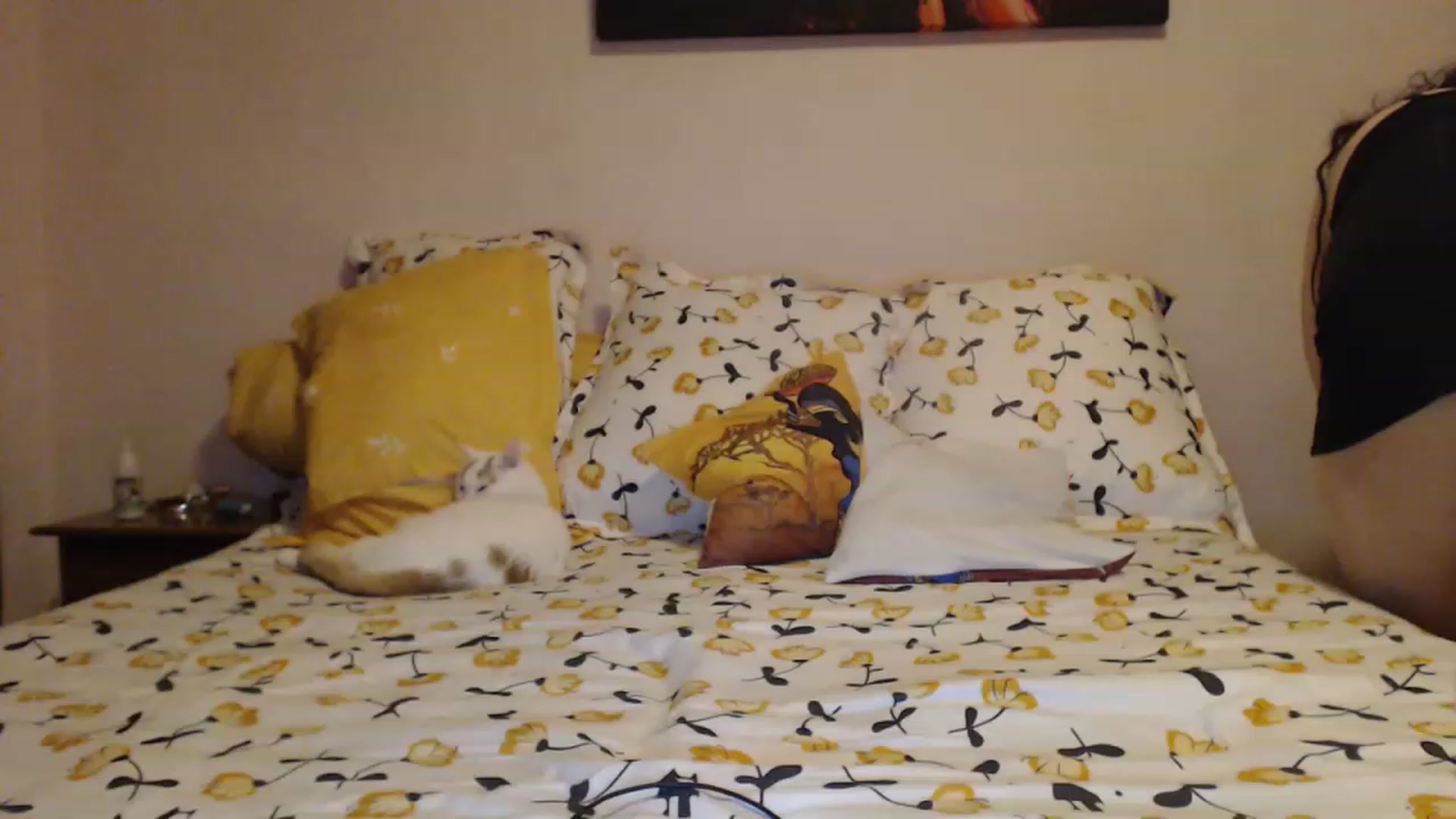 Gallery image thumbnail from Aahh_Emilia's myfreecams stream on, 01/29/2023, 16:07 image 1 of 20