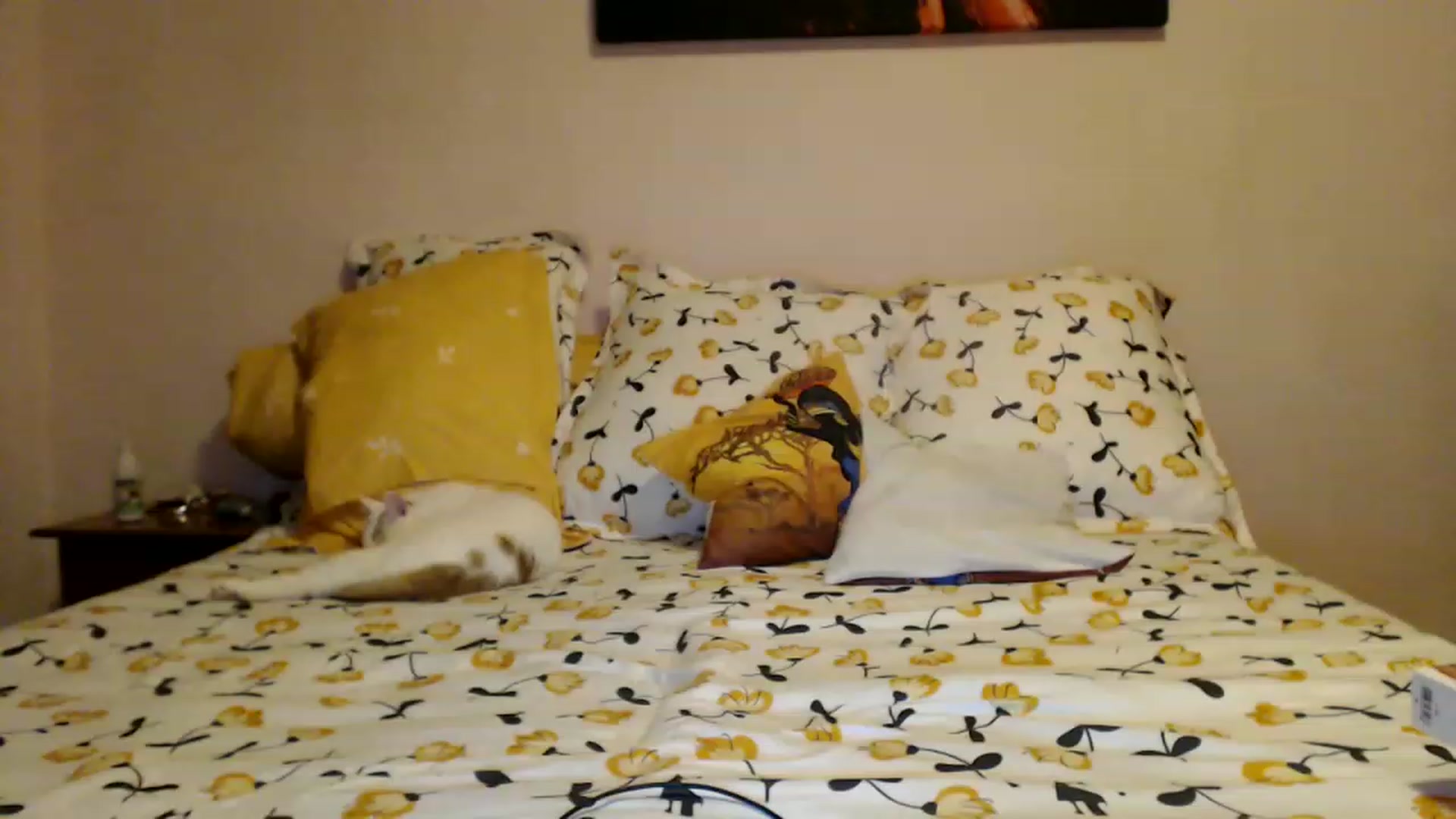 Gallery image thumbnail from Aahh_Emilia's myfreecams stream on, 01/29/2023, 16:35 image 10 of 20