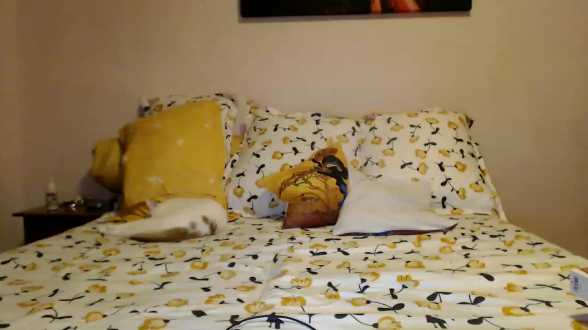 Gallery image thumbnail from Aahh_Emilia's myfreecams stream on, 01/29/2023, 16:35 image 13 of 20