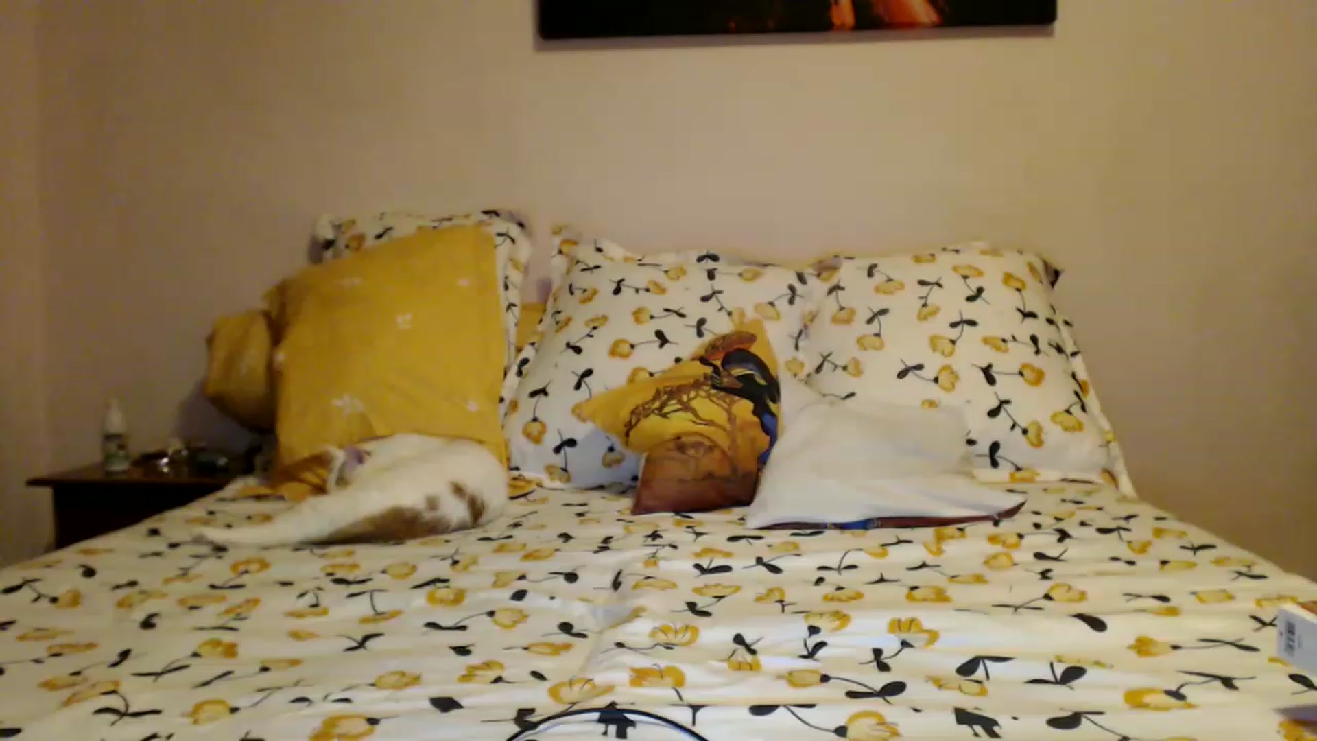 Gallery image thumbnail from Aahh_Emilia's myfreecams stream on, 01/29/2023, 16:35 image 9 of 20