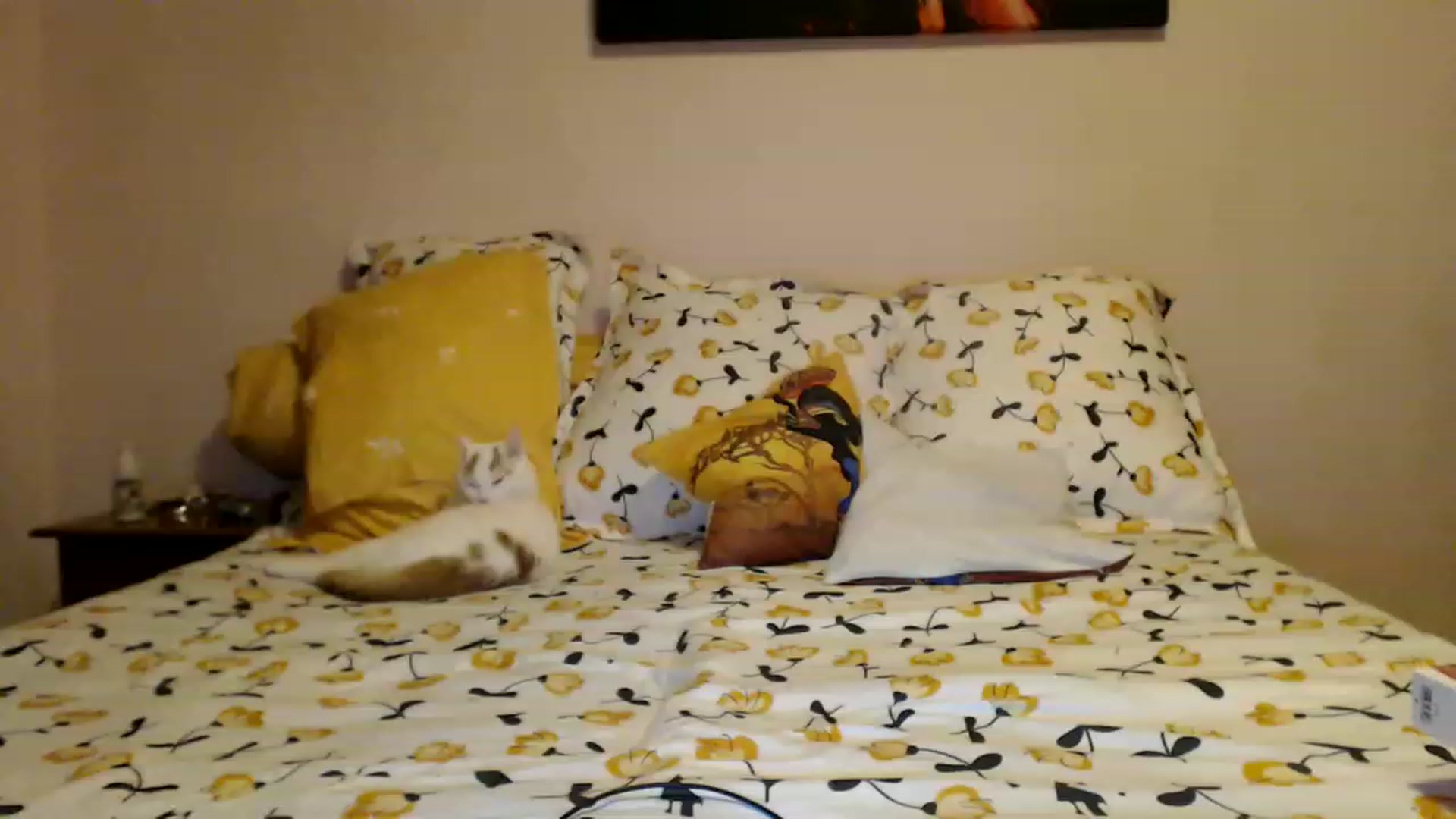 Gallery image thumbnail from Aahh_Emilia's myfreecams stream on, 01/29/2023, 16:35 image 8 of 20