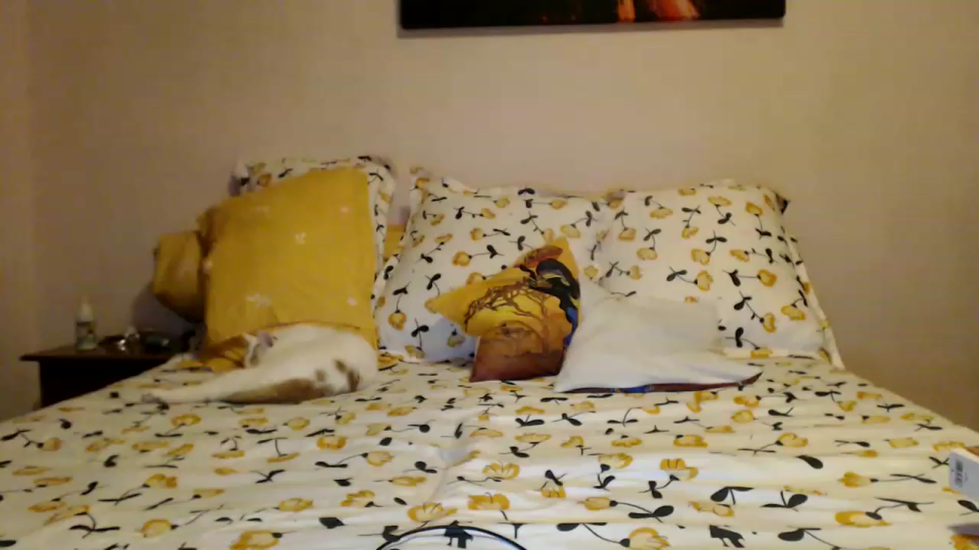 Gallery image thumbnail from Aahh_Emilia's myfreecams stream on, 01/29/2023, 16:35 image 11 of 20
