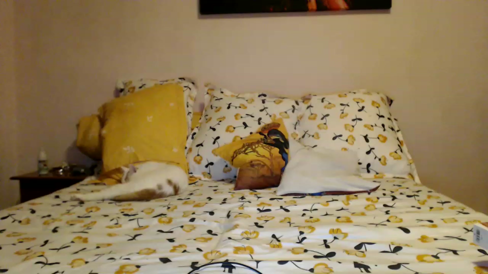 Gallery image thumbnail from Aahh_Emilia's myfreecams stream on, 01/29/2023, 16:35 image 12 of 20