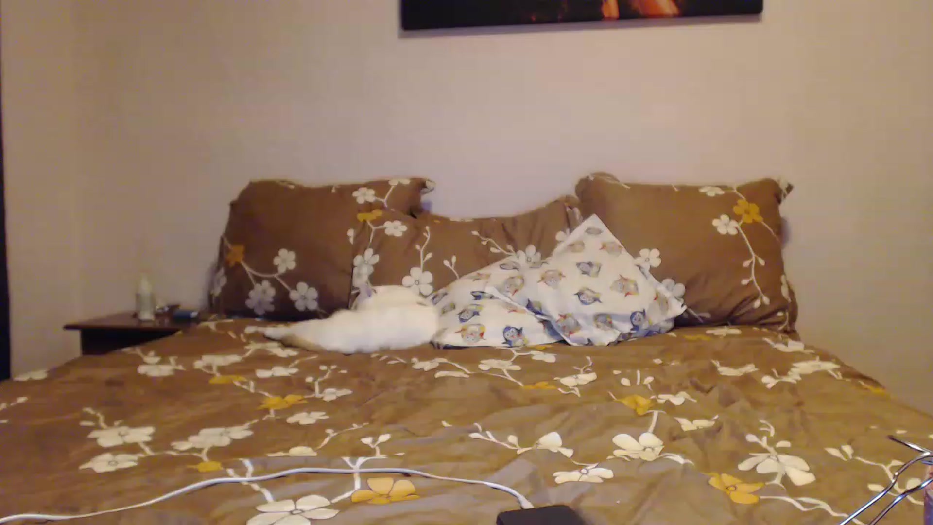 Gallery image thumbnail from Aahh_Emilia's myfreecams stream on, 01/30/2023, 16:19 image 12 of 20