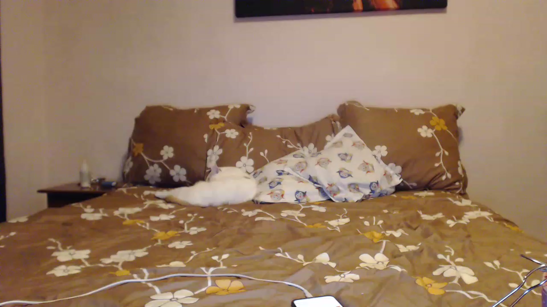 Gallery image thumbnail from Aahh_Emilia's myfreecams stream on, 01/30/2023, 16:19 image 9 of 20