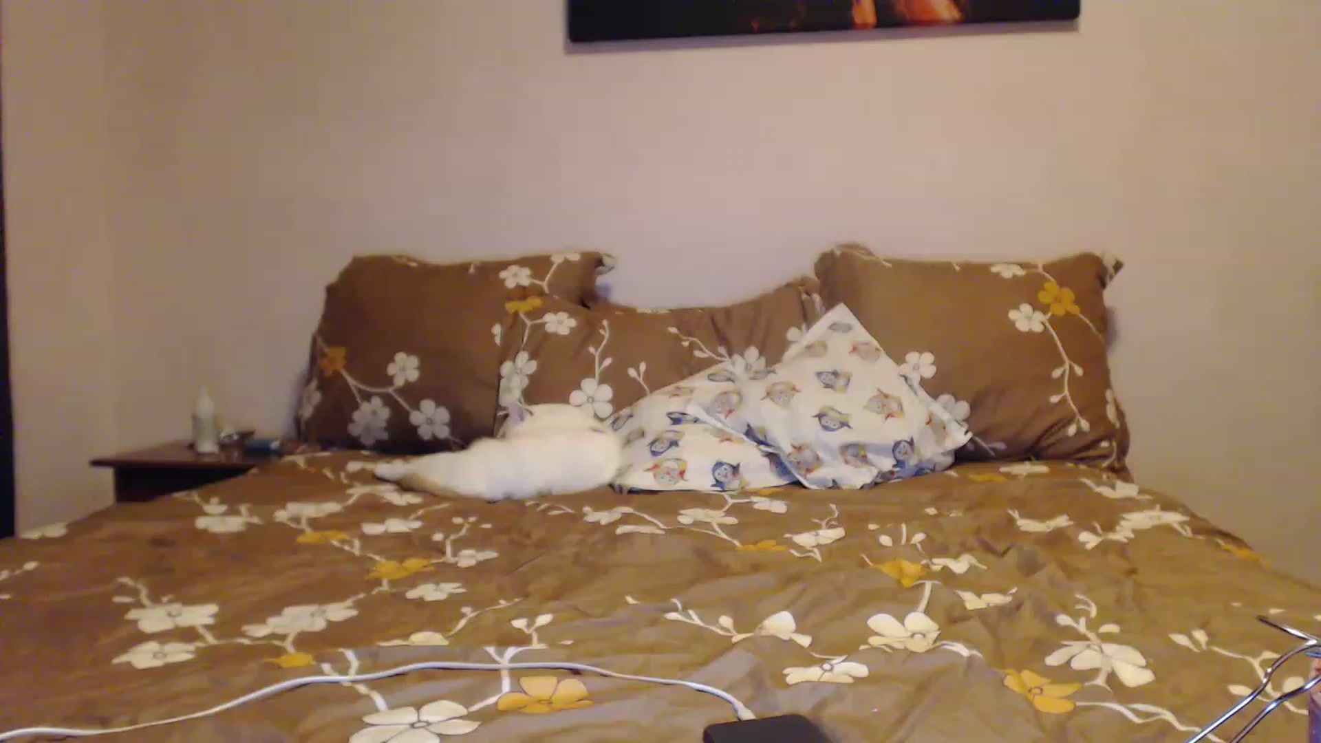 Gallery image thumbnail from Aahh_Emilia's myfreecams stream on, 01/30/2023, 16:19 image 13 of 20