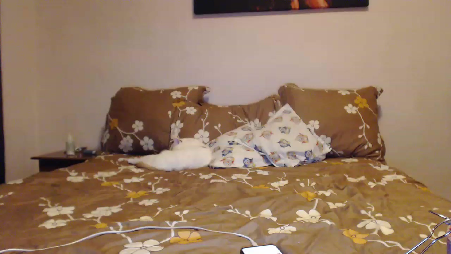 Gallery image thumbnail from Aahh_Emilia's myfreecams stream on, 01/30/2023, 16:19 image 10 of 20