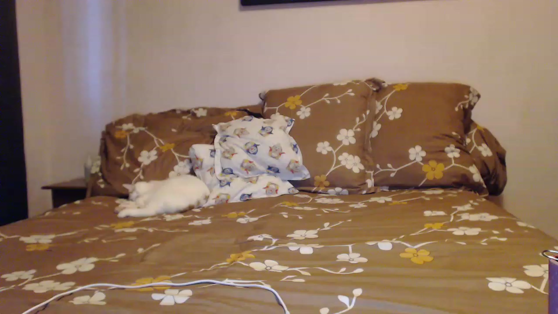Gallery image thumbnail from Aahh_Emilia's myfreecams stream on, 02/02/2023, 15:47 image 7 of 20