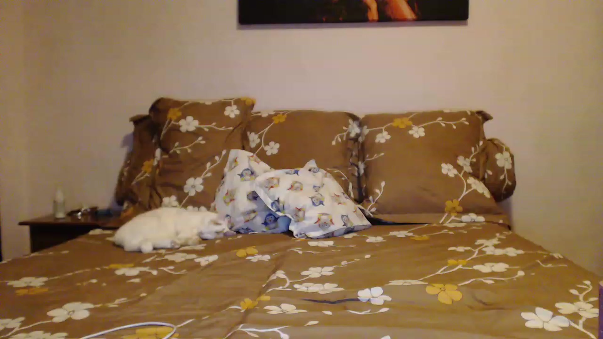 Gallery image thumbnail from Aahh_Emilia's myfreecams stream on, 02/05/2023, 15:54 image 13 of 20
