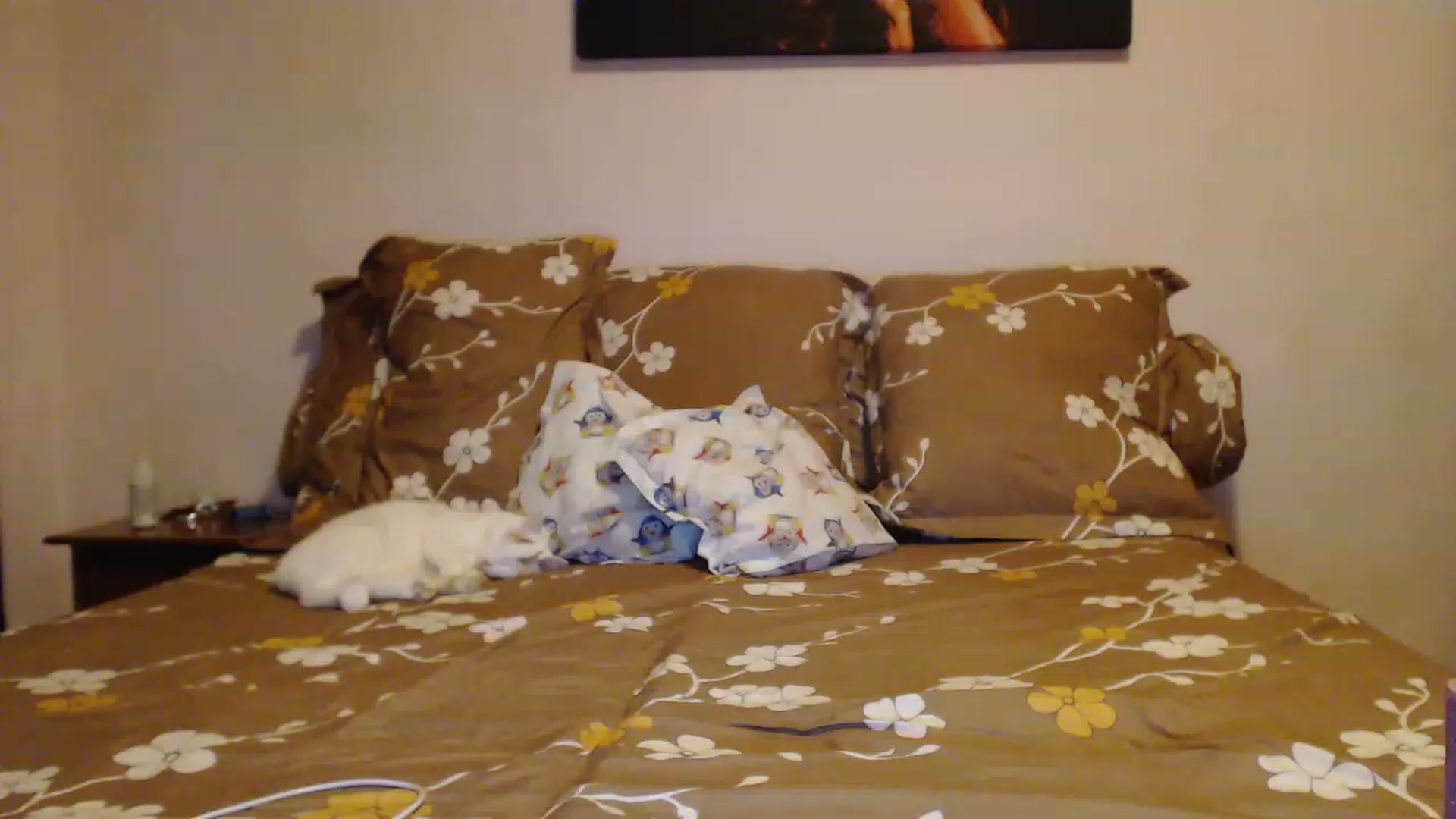 Gallery image thumbnail from Aahh_Emilia's myfreecams stream on, 02/05/2023, 15:54 image 11 of 20