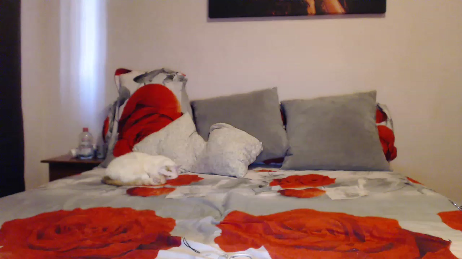 Gallery image thumbnail from Aahh_Emilia's myfreecams stream on, 02/10/2023, 15:29 image 11 of 20
