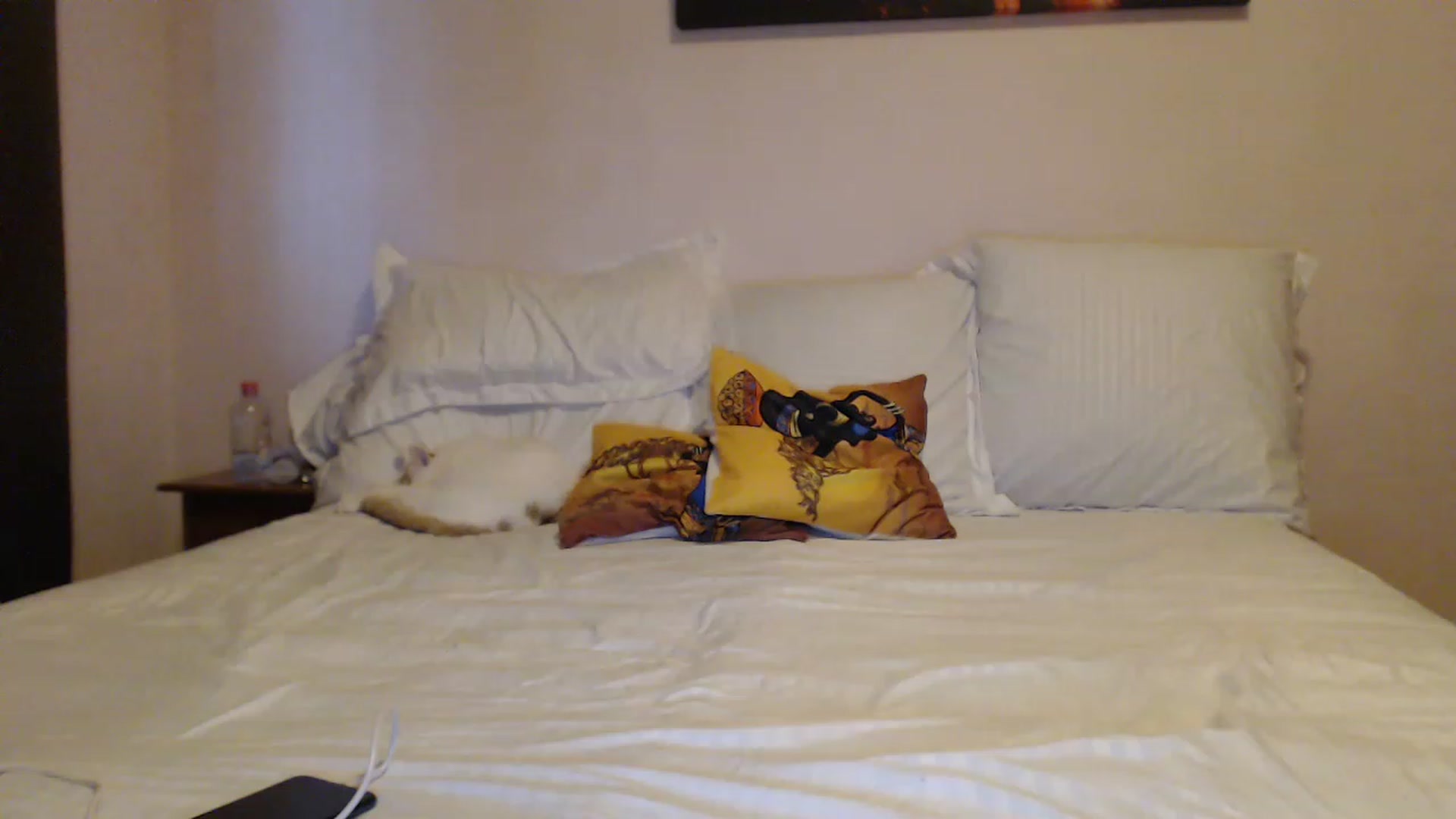 Gallery image thumbnail from Aahh_Emilia's myfreecams stream on, 02/14/2023, 15:39 image 13 of 20