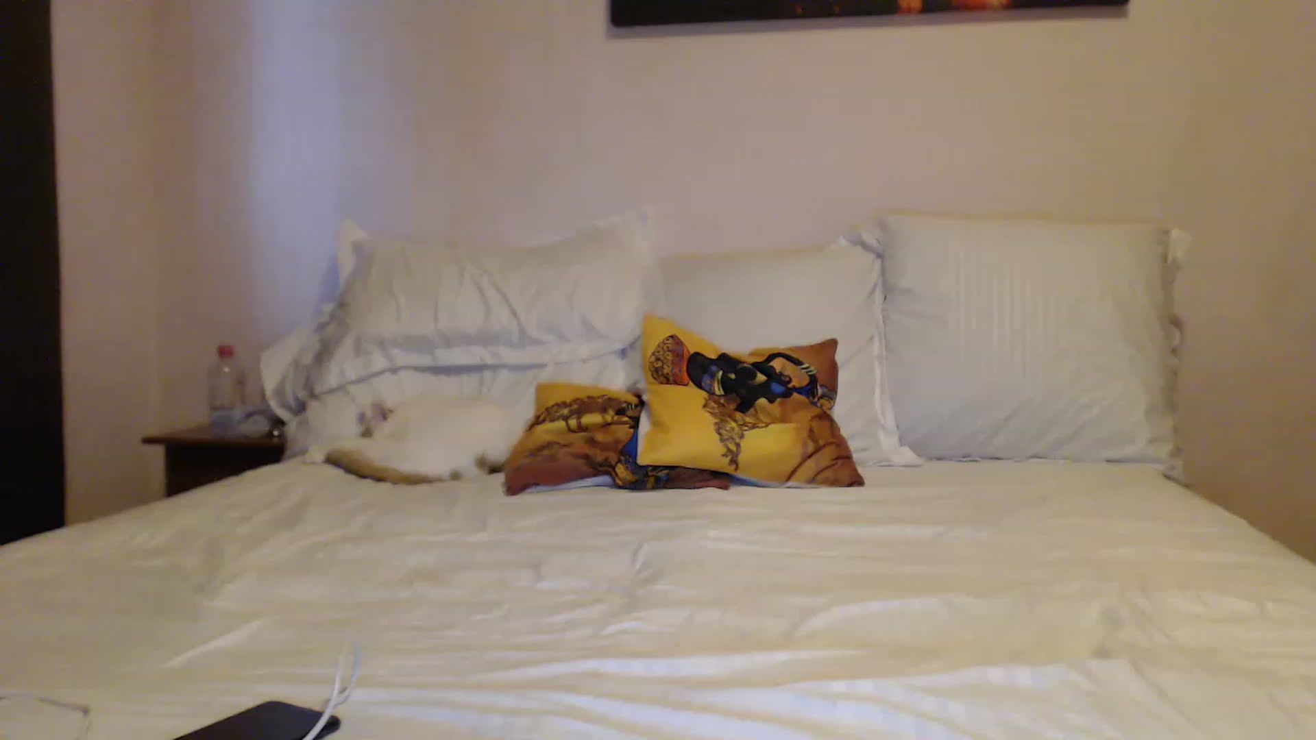 Gallery image thumbnail from Aahh_Emilia's myfreecams stream on, 02/14/2023, 15:39 image 12 of 20