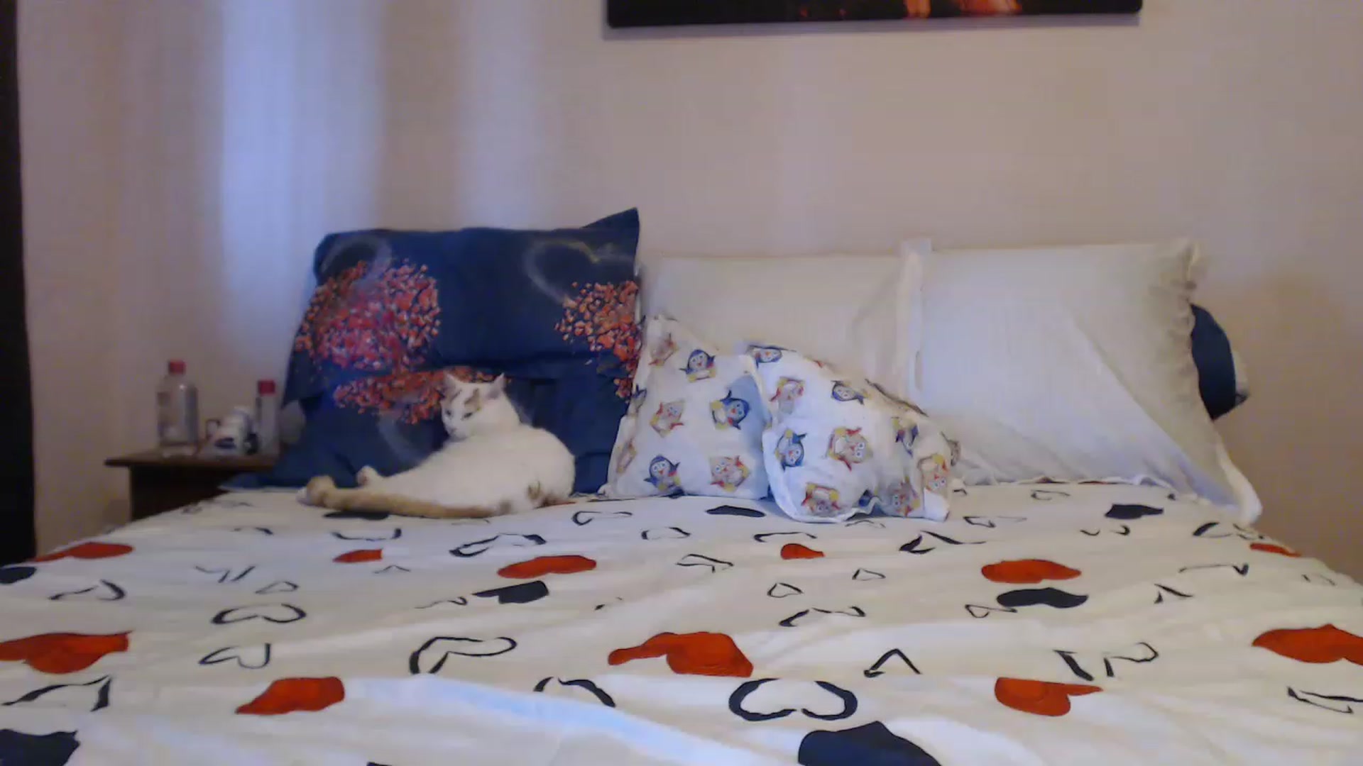 Gallery image thumbnail from Aahh_Emilia's myfreecams stream on, 02/17/2023, 15:35 image 4 of 20