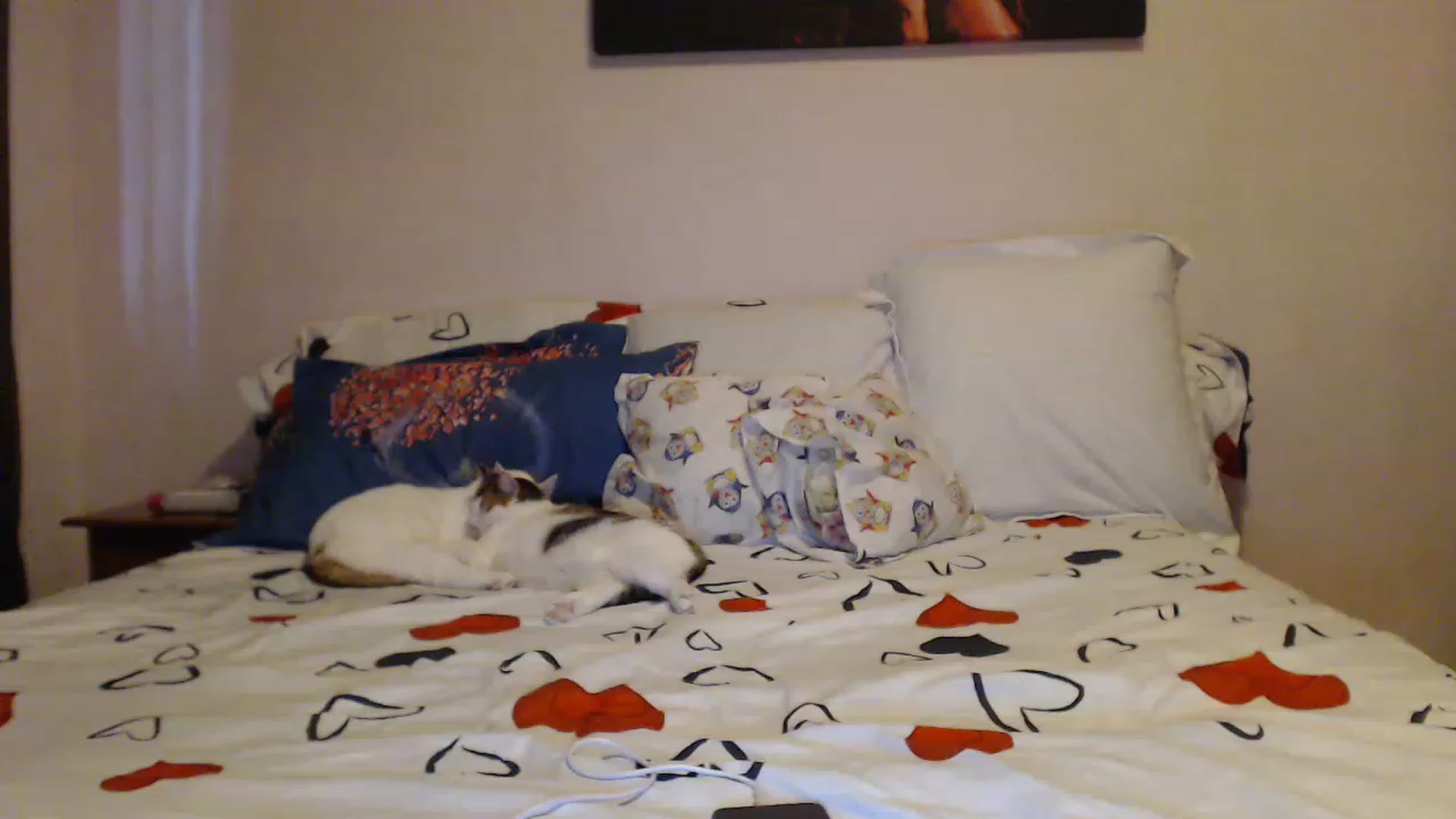 Gallery image thumbnail from Aahh_Emilia's myfreecams stream on, 02/18/2023, 15:16 image 14 of 20