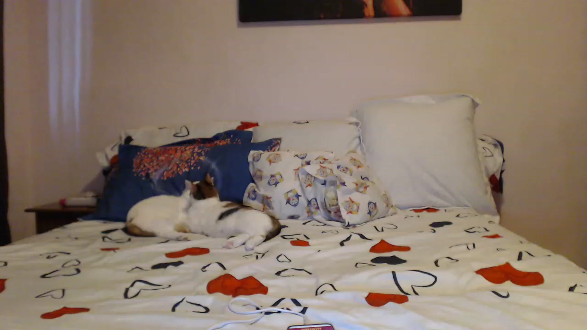 Gallery image thumbnail from Aahh_Emilia's myfreecams stream on, 02/18/2023, 15:16 image 13 of 20