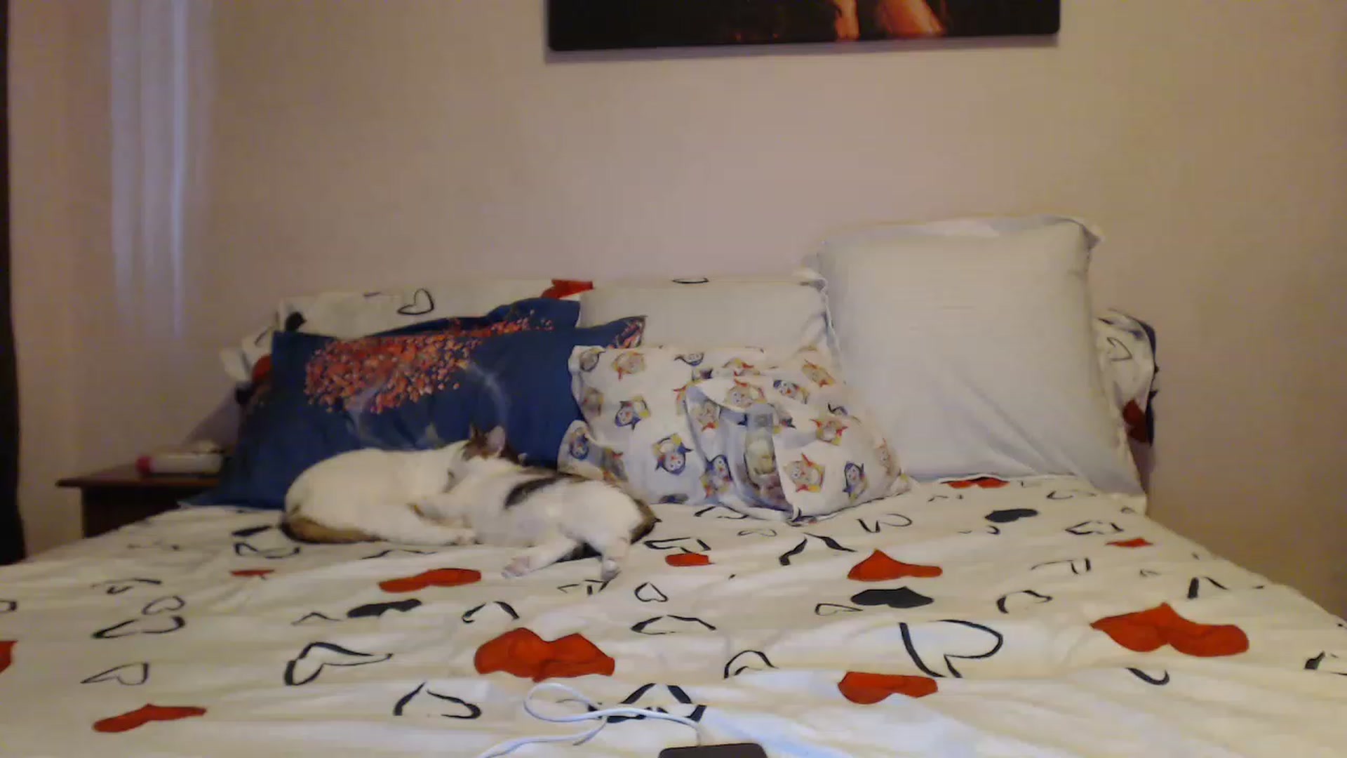 Gallery image thumbnail from Aahh_Emilia's myfreecams stream on, 02/18/2023, 15:16 image 15 of 20