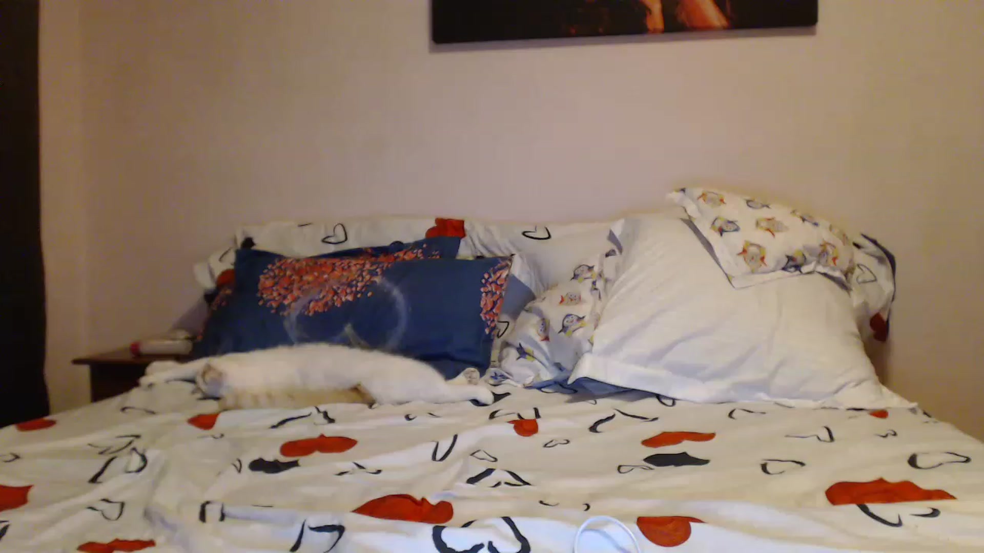 Gallery image thumbnail from Aahh_Emilia's myfreecams stream on, 02/18/2023, 18:36 image 19 of 20