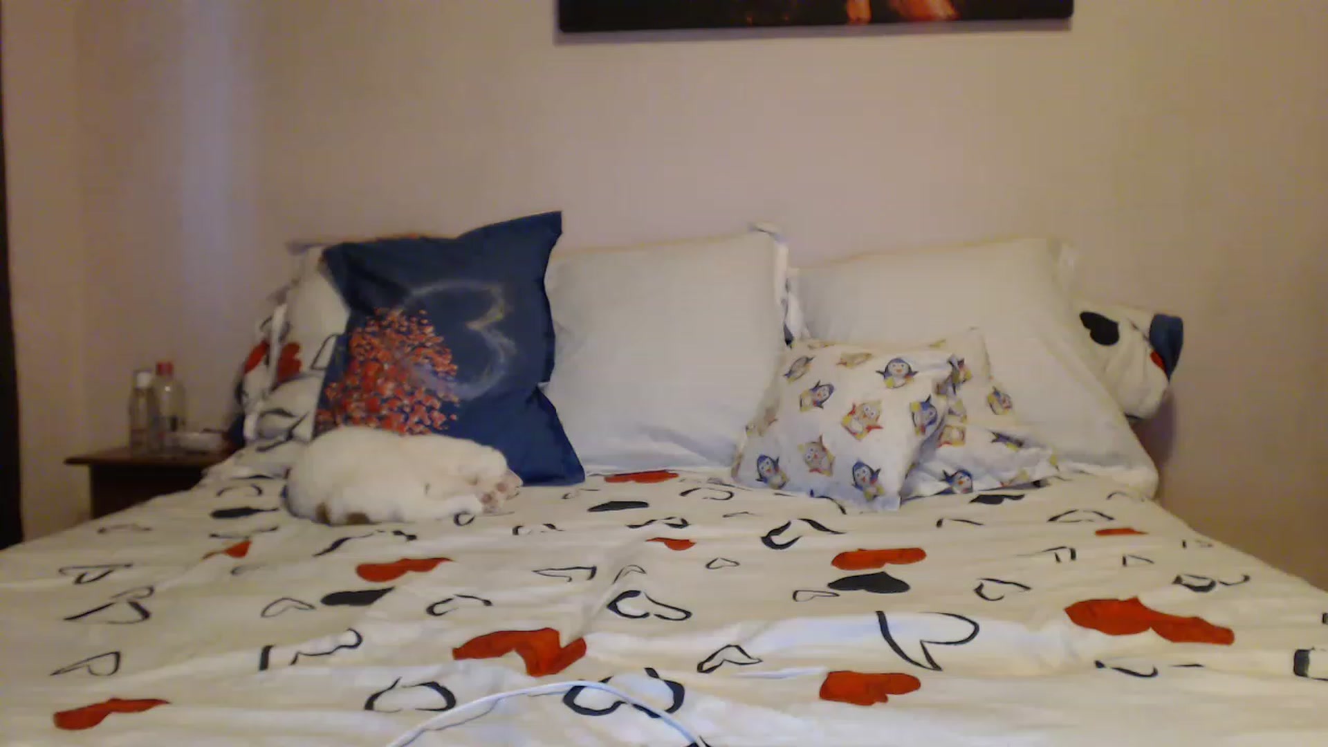 Gallery image thumbnail from Aahh_Emilia's myfreecams stream on, 02/19/2023, 15:54 image 15 of 20