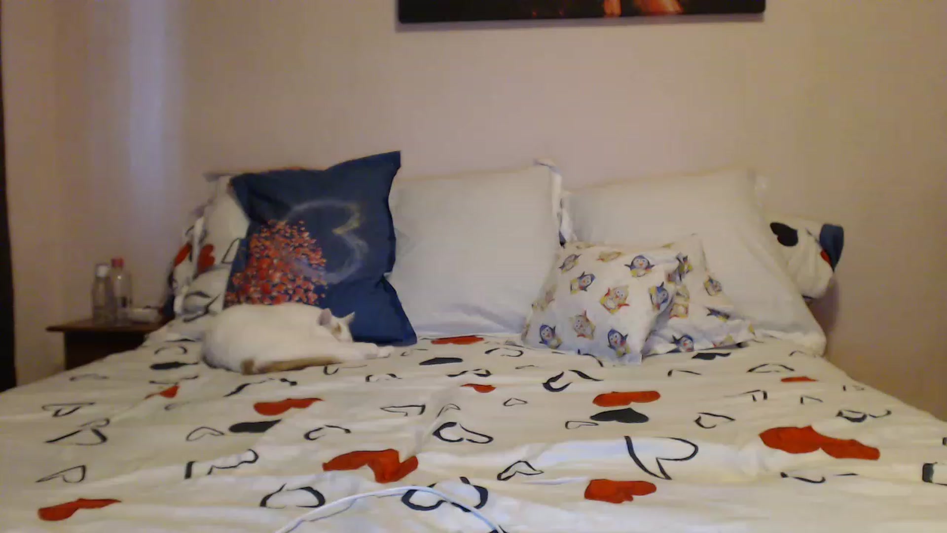 Gallery image thumbnail from Aahh_Emilia's myfreecams stream on, 02/19/2023, 15:54 image 13 of 20