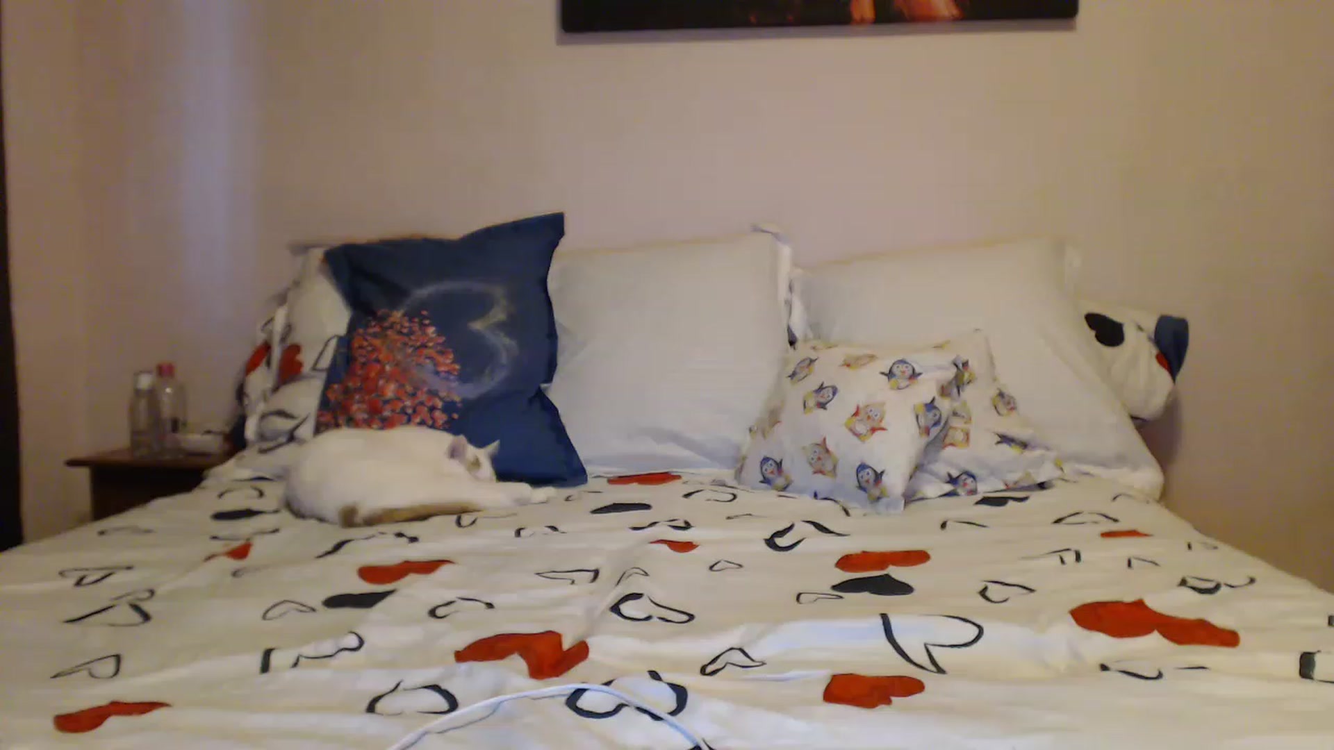 Gallery image thumbnail from Aahh_Emilia's myfreecams stream on, 02/19/2023, 15:54 image 14 of 20