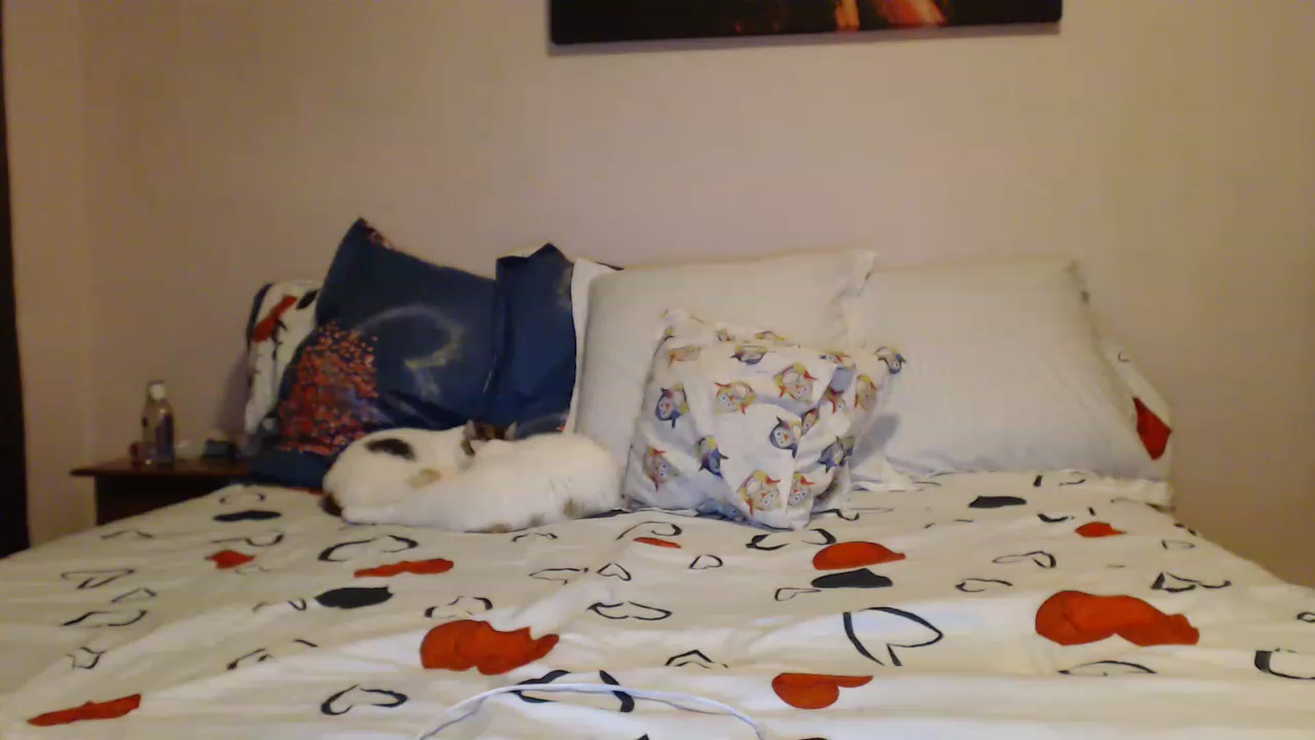 Gallery image thumbnail from Aahh_Emilia's myfreecams stream on, 02/20/2023, 16:20 image 19 of 20