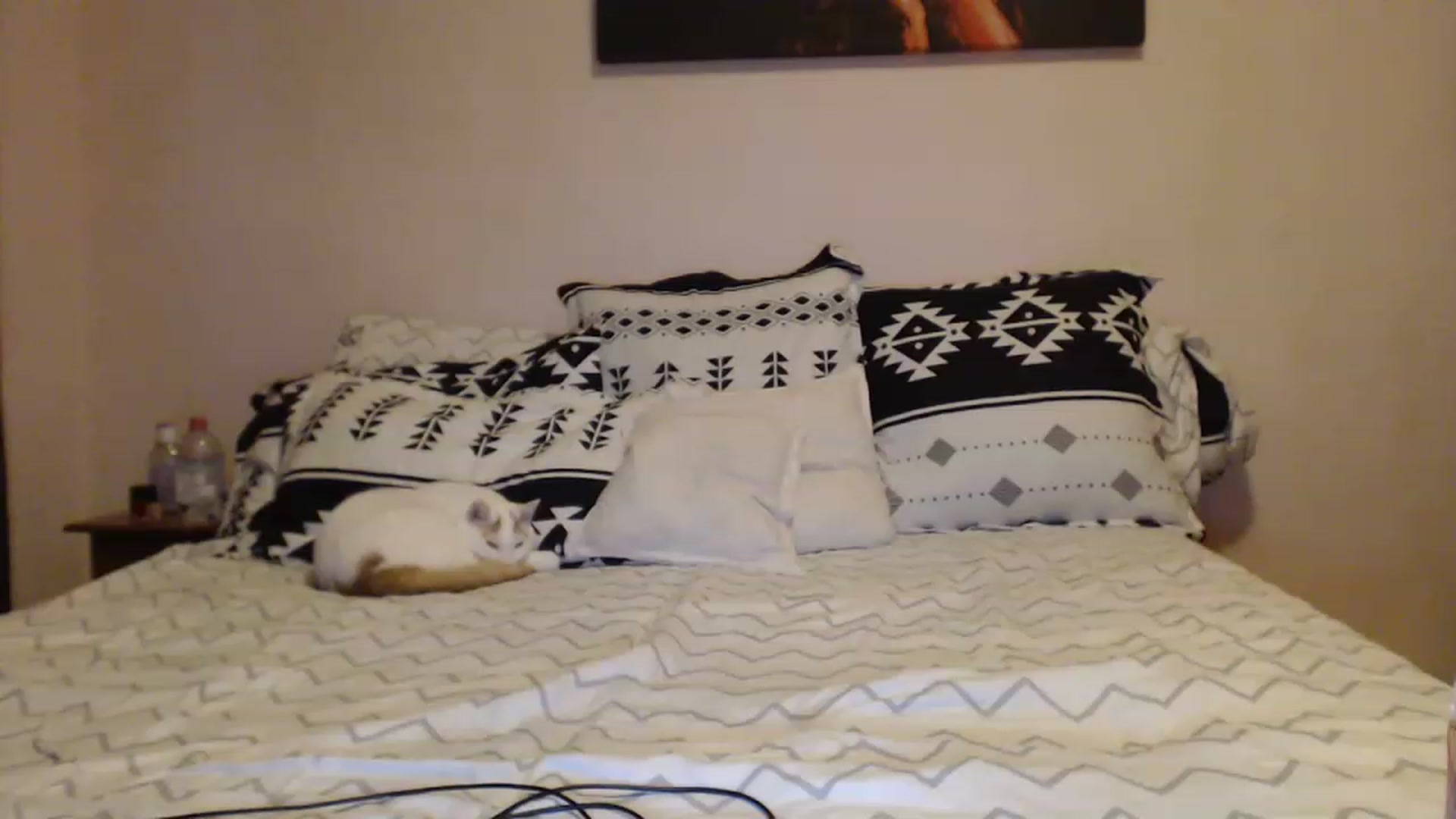Gallery image thumbnail from Aahh_Emilia's myfreecams stream on, 02/25/2023, 15:58 image 15 of 20